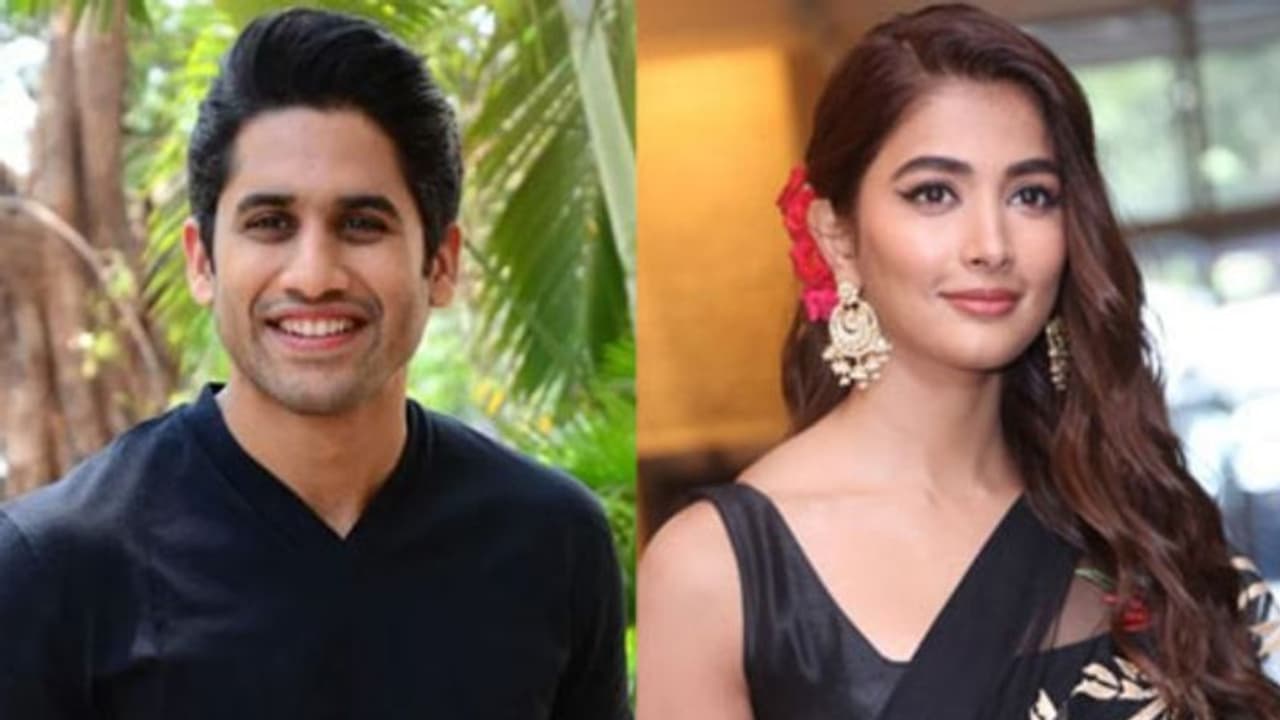 നാഗചൈതന്യയുടെ നായികയായിയെത്താൻ പൂജ ഹെഗ്‍ഡെ