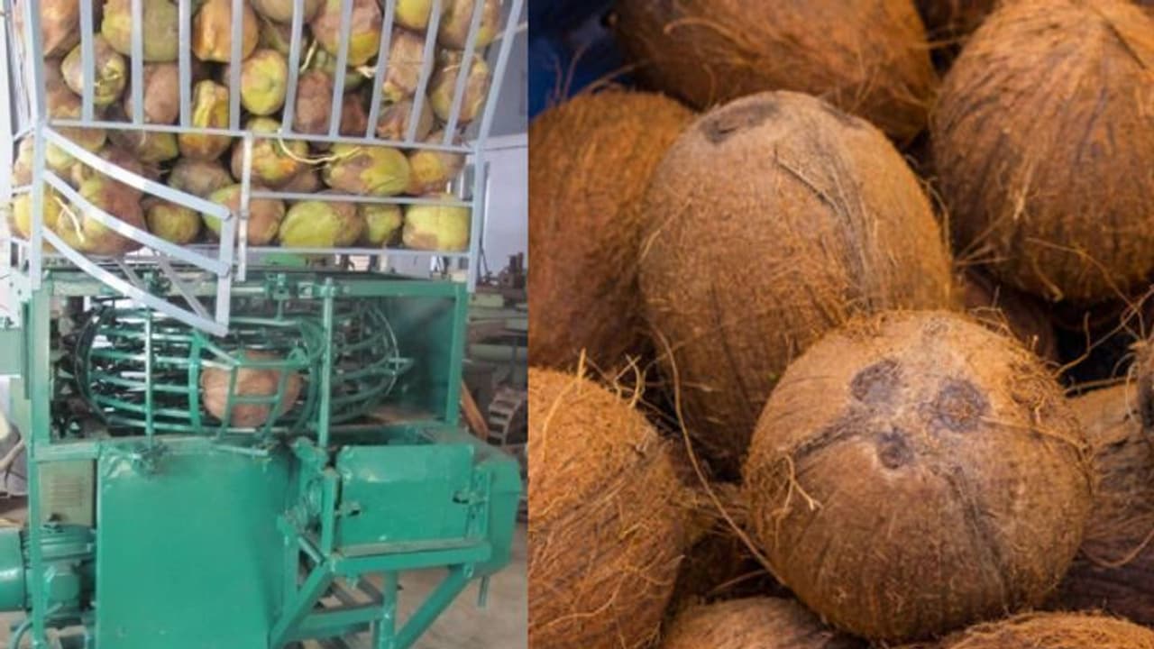 'എല്ലാ തരം തേങ്ങകളും ഇതില്‍ പൊതിക്കാം'; യന്ത്രത്തിന് പേറ്റന്റ് നേടി കാര്‍ഷിക സര്‍വ്വകലാശാല