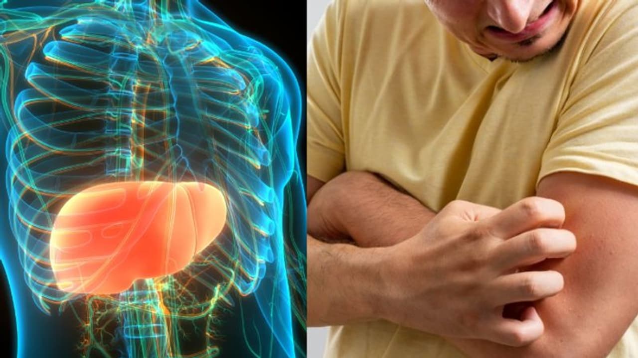 Health Tips: നിങ്ങളുടെ കരള് അപകടത്തിലാണെന്നതിന്റെ എട്ട് സൂചനകള്... Health Tips: നിങ്ങളുടെ കരള് അപകടത്തിലാണെന്നതിന്റെ എട്ട് സൂചനകള്...