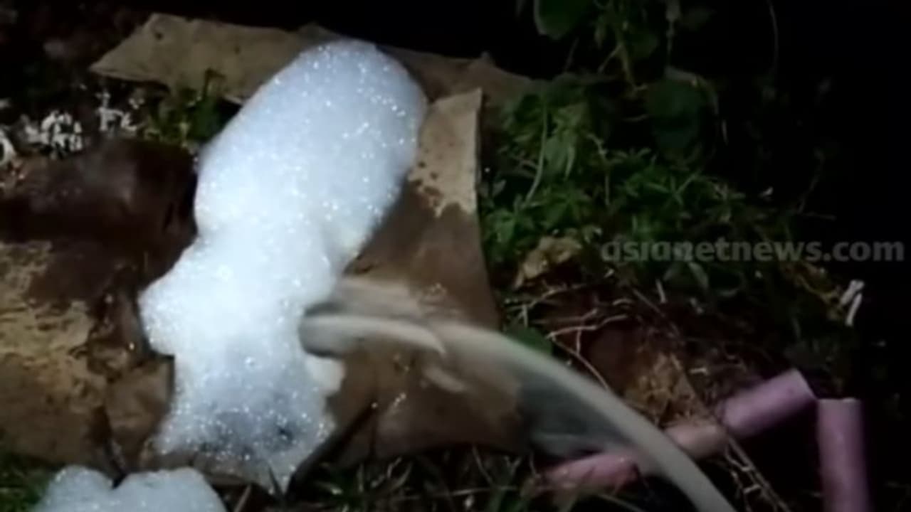 'സെപ്റ്റിക് ടാങ്ക് മാലിന്യം കുടിവെള്ള സ്രോതസിലേക്ക് ഒഴുക്കിവിടുന്നു'; റിസോർട്ടുകൾക്കെതിരെ നാട്ടുകാർ