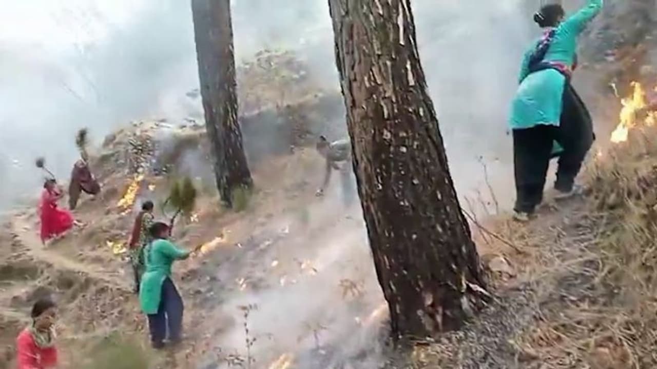 Uttarakhand forest fires: Locals try to douse raging flames as 47 new fires raze 78 hectares of land (WATCH) Uttarakhand forest fires: Locals try to douse raging flames as 47 new fires raze 78 hectares of land (WATCH)