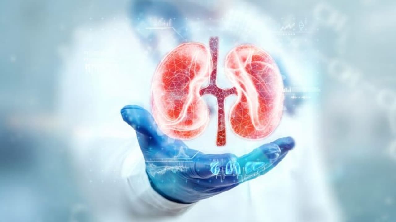 ഈ എട്ട് കാര്യങ്ങള് ശ്രദ്ധിച്ചാല് മതി, വൃക്കകളുടെ ആരോഗ്യം സംരക്ഷിക്കാം ഈ എട്ട് കാര്യങ്ങള് ശ്രദ്ധിച്ചാല് മതി, വൃക്കകളുടെ ആരോഗ്യം സംരക്ഷിക്കാം