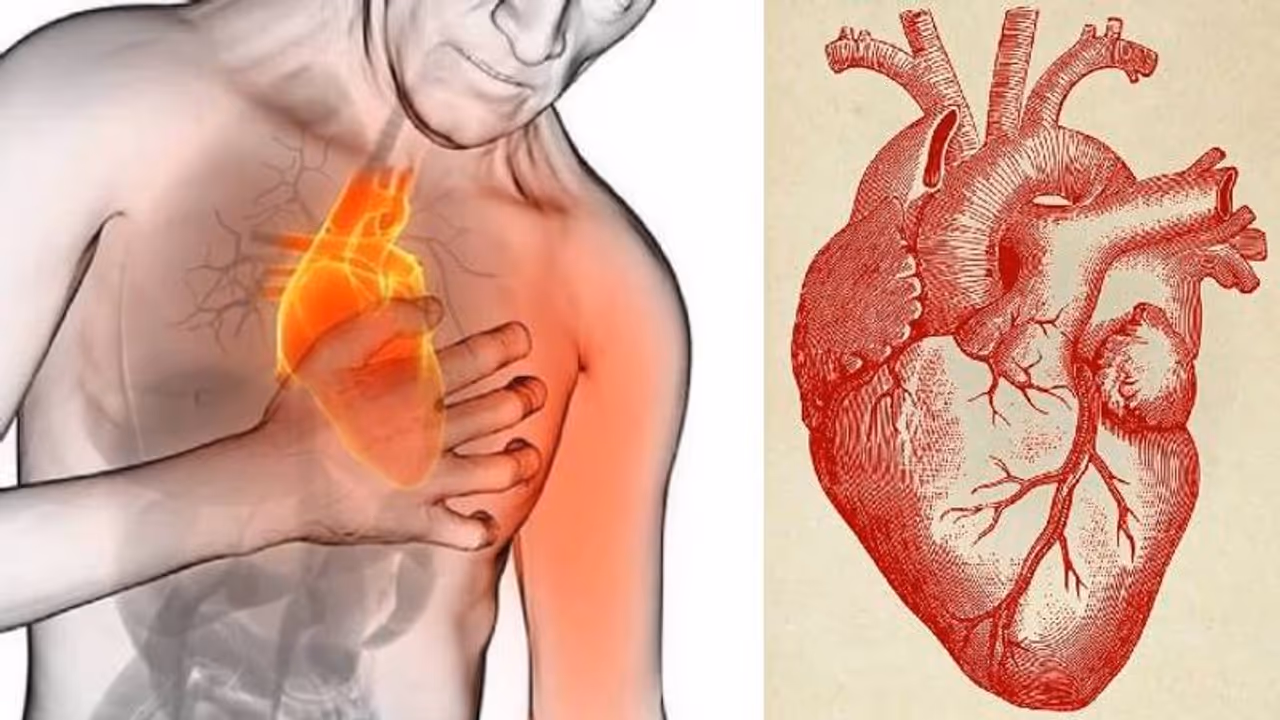  दिखें ये 6 लक्षण तो हो जाएं सावधान, Heart Disease का हो सकता है खतरा
