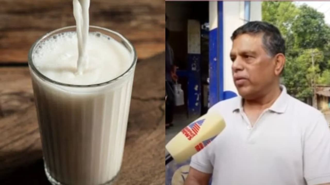 പാലുൽപാദനത്തിൽ 20 ശതമാനം ഇടിവ്, ദിവസം ആറര ലക്ഷം ലിറ്ററിന്‍റെ കുറവെന്ന് മിൽമ; പൊള്ളുംചൂടിൽ വലഞ്ഞ് ക്ഷീര മേഖല 