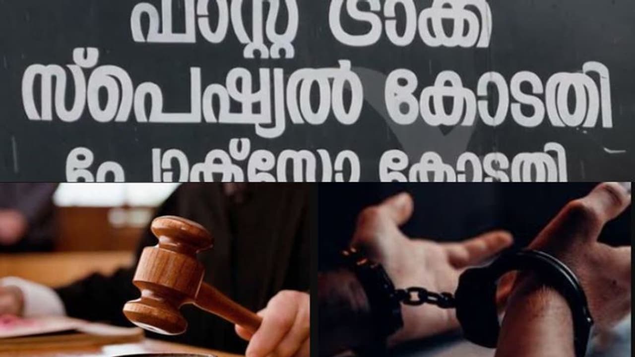 'അച്ഛൻ എന്ന വിശ്വാസ്യതയ്ക്ക് കളങ്കം", 6 വയസുകാരിയെ പീഡിപ്പിച്ച അച്ഛന് മൂന്ന് ജീവപര്യന്തം തടവും പിഴയും ശിക്ഷ