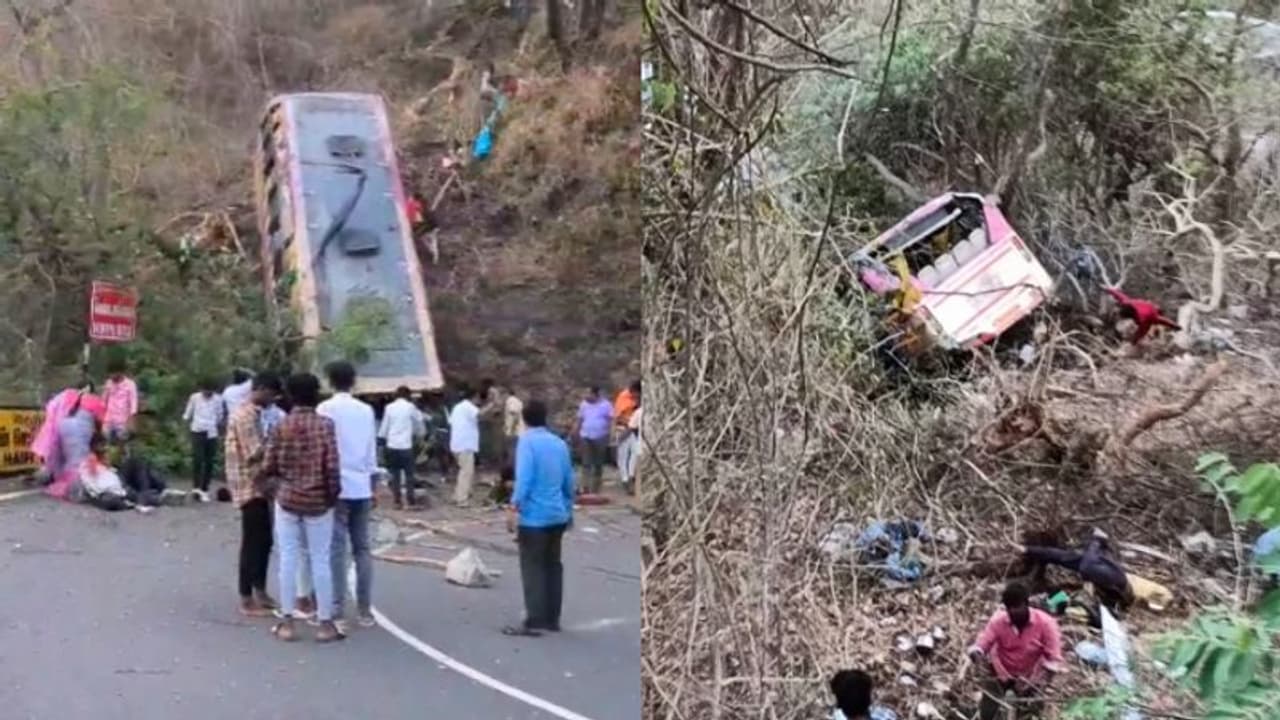 சேலம்: ஏற்காடு மலையில் பேருந்து கவிழ்ந்து விபத்து.. 4 பேர் பலி.. 20க்கும் மேற்பட்டோர் படுகாயம்..