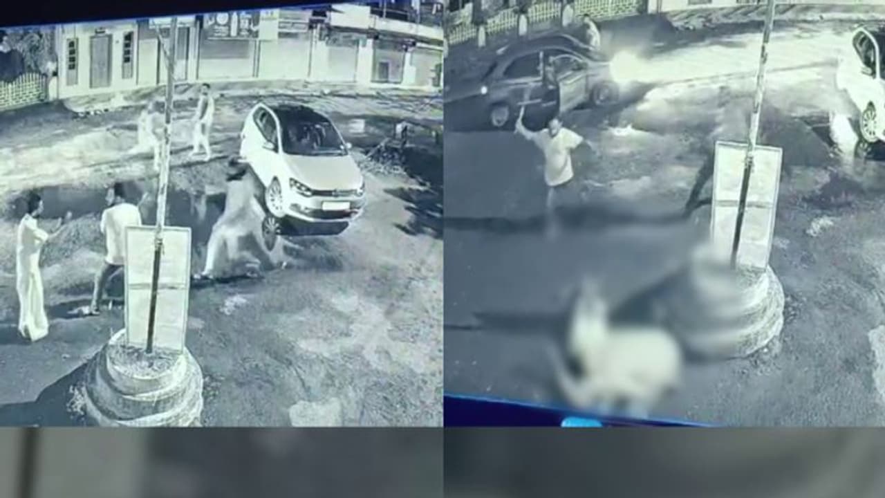 ആലുവയിൽ ഗുണ്ടാ ആക്രമണം, കോൺഗ്രസ് പ്രവർത്തകനായ മുന്‍ പ‌ഞ്ചായത്ത് അംഗത്തിന് വെട്ടേറ്റു, 4 പേർക്ക് പരിക്ക്