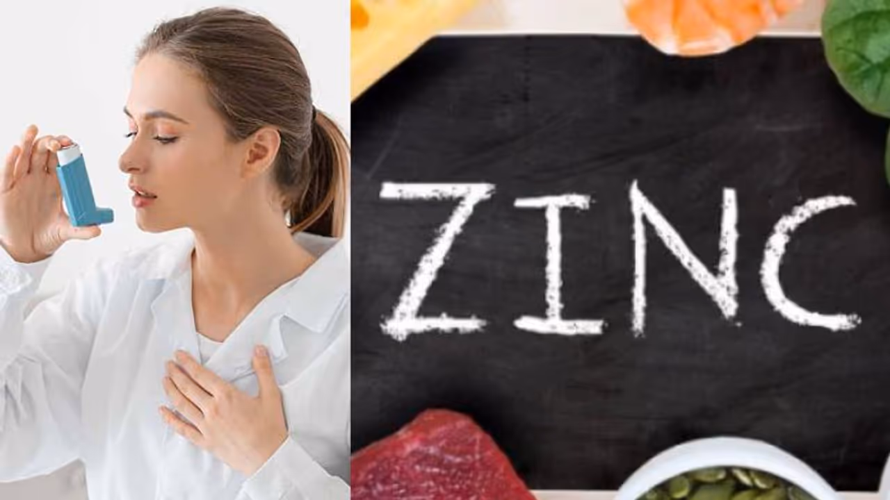 Health Tips: ആസ്ത്മ നിയന്ത്രിക്കാൻ സഹായിക്കുന്ന സിങ്ക് അടങ്ങിയ ഒമ്പത് ഭക്ഷണങ്ങൾ