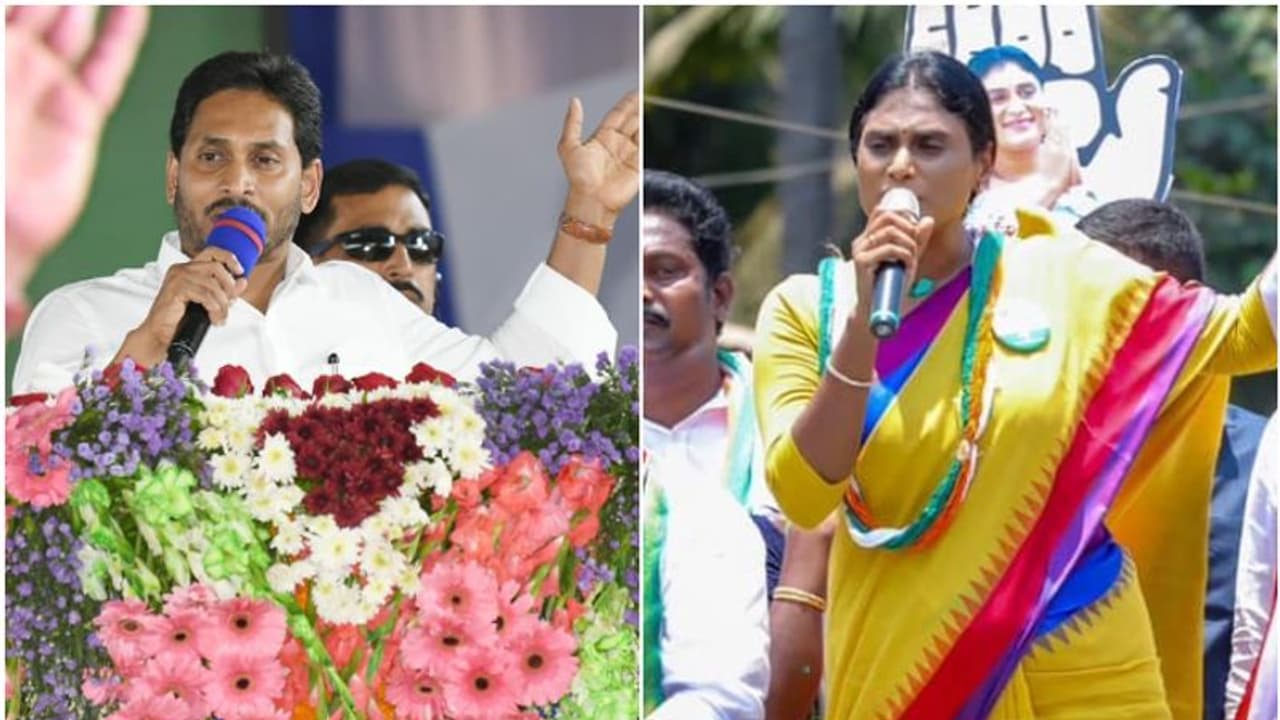 ശർമ്മിളയുടെ സാരിയുടെ നിറം മഞ്ഞ, പ്രചാരണ ആയുധമാക്കി ജഗൻ, കലങ്ങി മറിഞ്ഞ് ആന്ധ്ര രാഷ്ട്രീയം 