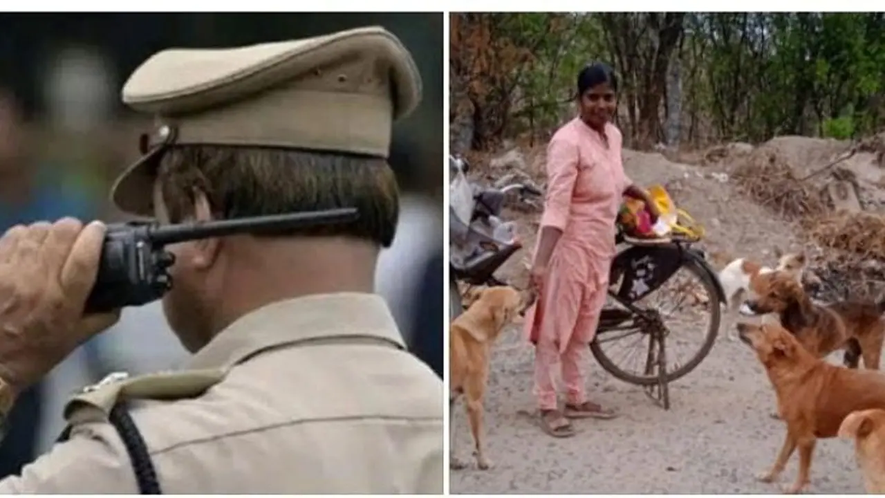 Street Dog : தெரு நாய்களுக்கு உணவு கொடுப்பதை எதிர்ப்பதா.!! இனி அவ்வளவு தான்.. எச்சரிக்கை விடுத்த போலீஸ்