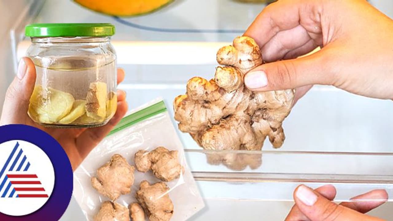 ಶುಂಠಿ ಬೇಸಿಗೆಯಲ್ಲೂ ಫ್ರೆಶ್ ಆಗಿರ್ಬೇಕು ಅಂದ್ರೆ ಏನು ಮಾಡಬೇಕು? ಇಲ್ಲಿವೆ ಟಿಪ್ಸ್! ಶುಂಠಿ ಬೇಸಿಗೆಯಲ್ಲೂ ಫ್ರೆಶ್ ಆಗಿರ್ಬೇಕು ಅಂದ್ರೆ ಏನು ಮಾಡಬೇಕು? ಇಲ್ಲಿವೆ ಟಿಪ್ಸ್!