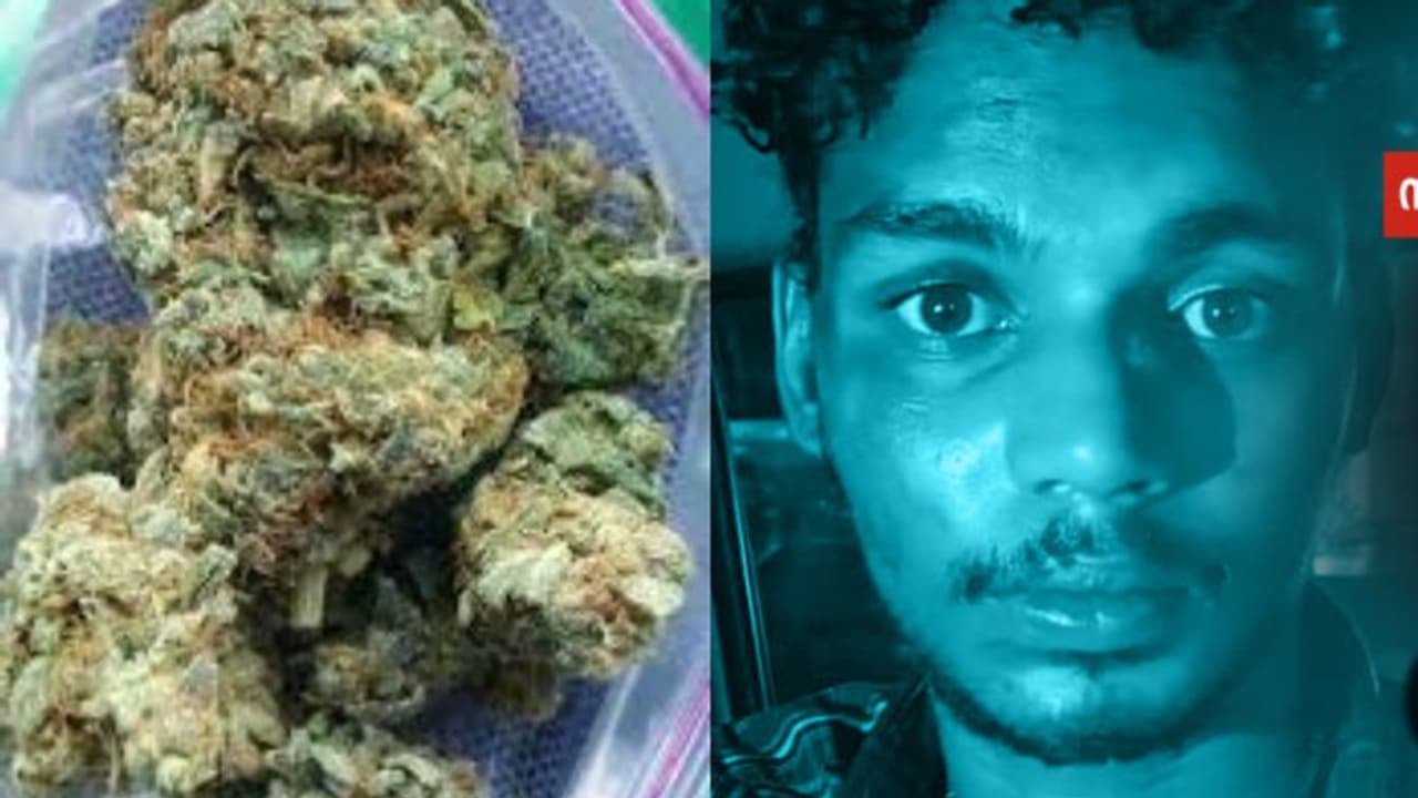 ലക്ഷ്യം ആലുവ, ദിവസം 100 പൊതി വരെ വിൽക്കും; പക്ഷേ മണ്ണുത്തിയിൽ വെച്ച് 12 കിലോ കഞ്ചാവുമായി യുവാവ് പിടിയിലായി ലക്ഷ്യം ആലുവ, ദിവസം 100 പൊതി വരെ വിൽക്കും; പക്ഷേ മണ്ണുത്തിയിൽ വെച്ച് 12 കിലോ കഞ്ചാവുമായി യുവാവ് പിടിയിലായി