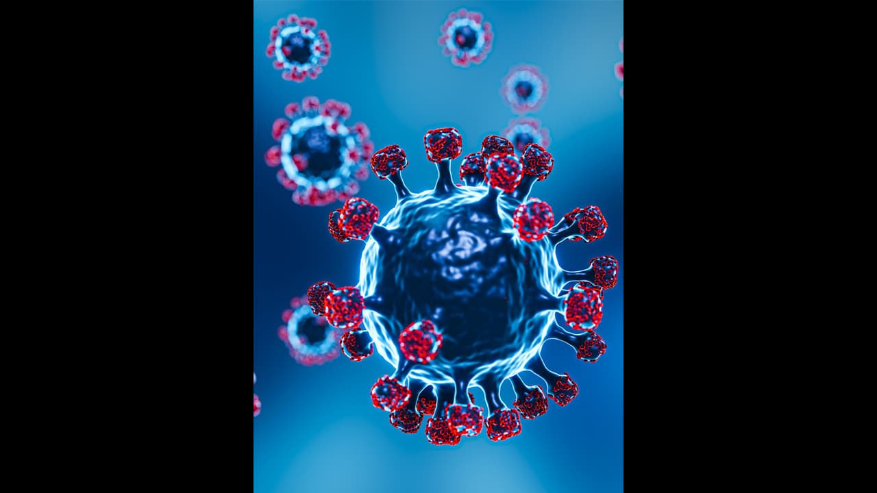 మరోసారి కరోనా అలజడి.. సింగపూర్లో భారీ కేసులు నమోదు.. కేవలం వారంలోనే.. మరోసారి కరోనా అలజడి.. సింగపూర్లో భారీ కేసులు నమోదు.. కేవలం వారంలోనే..