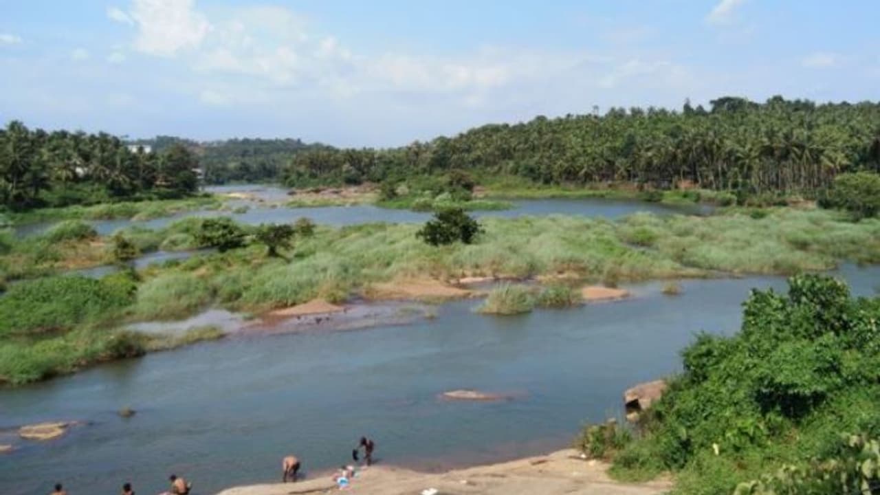കുടിക്കാൻ വെള്ള ക്ഷാമം, കൃഷിയാവശ്യത്തിന് പമ്പ് ഉപയോഗിച്ച് വെള്ളമെടുക്കരുത്, നിയന്ത്രണം മലപ്പുറം തൂതപ്പുഴയില് കുടിക്കാൻ വെള്ള ക്ഷാമം, കൃഷിയാവശ്യത്തിന് പമ്പ് ഉപയോഗിച്ച് വെള്ളമെടുക്കരുത്, നിയന്ത്രണം മലപ്പുറം തൂതപ്പുഴയില്