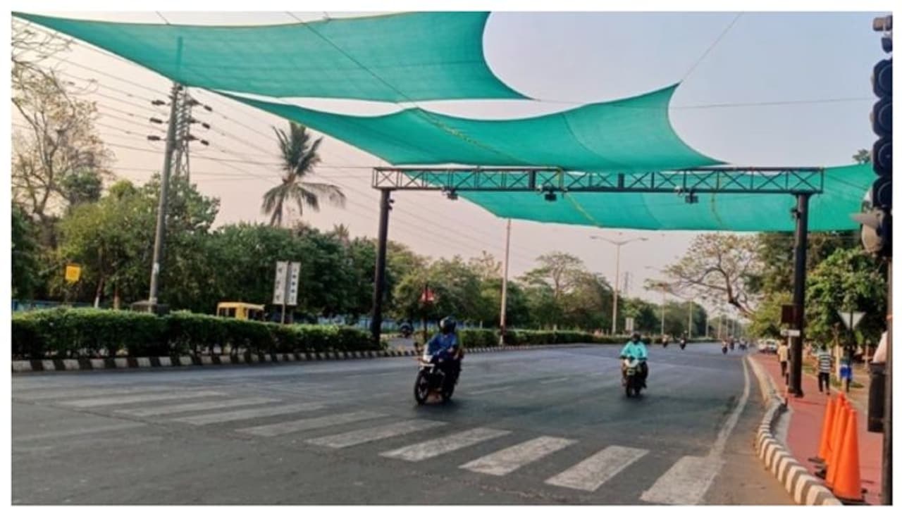 പൊള്ളുന്ന വെയിലല്ലേ വെയിലത്ത് വാടല്ലേ; ട്രാഫിക് സിഗ്നലിൽ 'പച്ച വിരിച്ച' പിഡബ്ല്യു വകുപ്പിന് അഭിനന്ദനം 