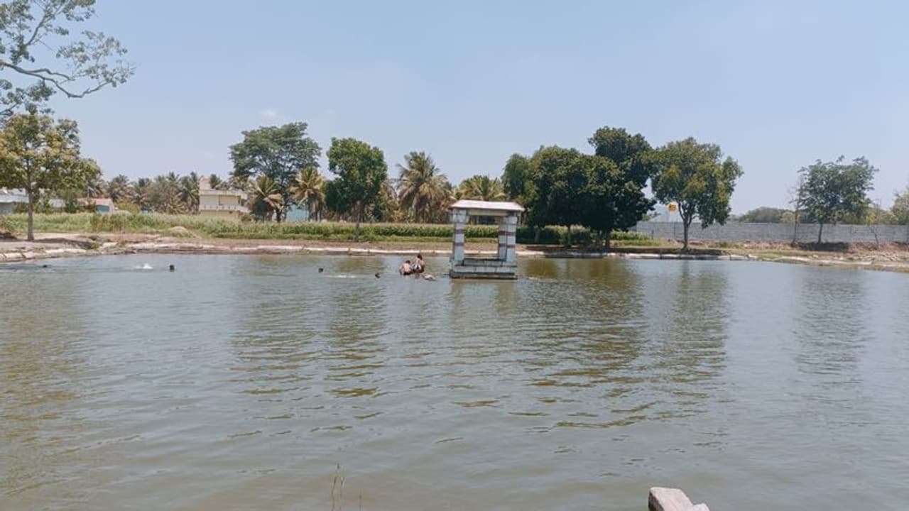 ಎಲ್ಲೆಲ್ಲೂ ಬರವಿದ್ದರೂ ಚನ್ನಪಟ್ಟಣದಲ್ಲಿ ನಳನಳಿಸುತ್ತಿವೆ ಹಳೆಯ ಕಲ್ಯಾಣಿಗಳು ಎಲ್ಲೆಲ್ಲೂ ಬರವಿದ್ದರೂ ಚನ್ನಪಟ್ಟಣದಲ್ಲಿ ನಳನಳಿಸುತ್ತಿವೆ ಹಳೆಯ ಕಲ್ಯಾಣಿಗಳು