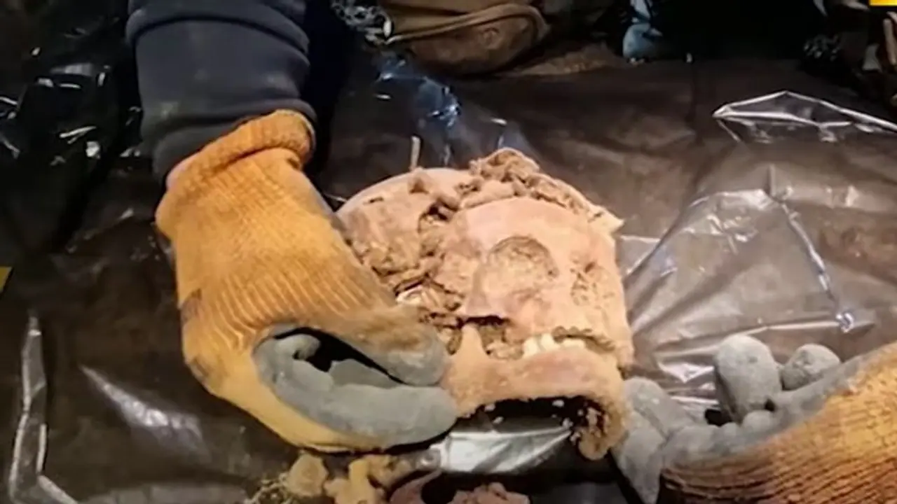 Gruesome discovery: 5 skeletons missing their hand, feet found under Hitler's military HQ in Poland (WATCH)