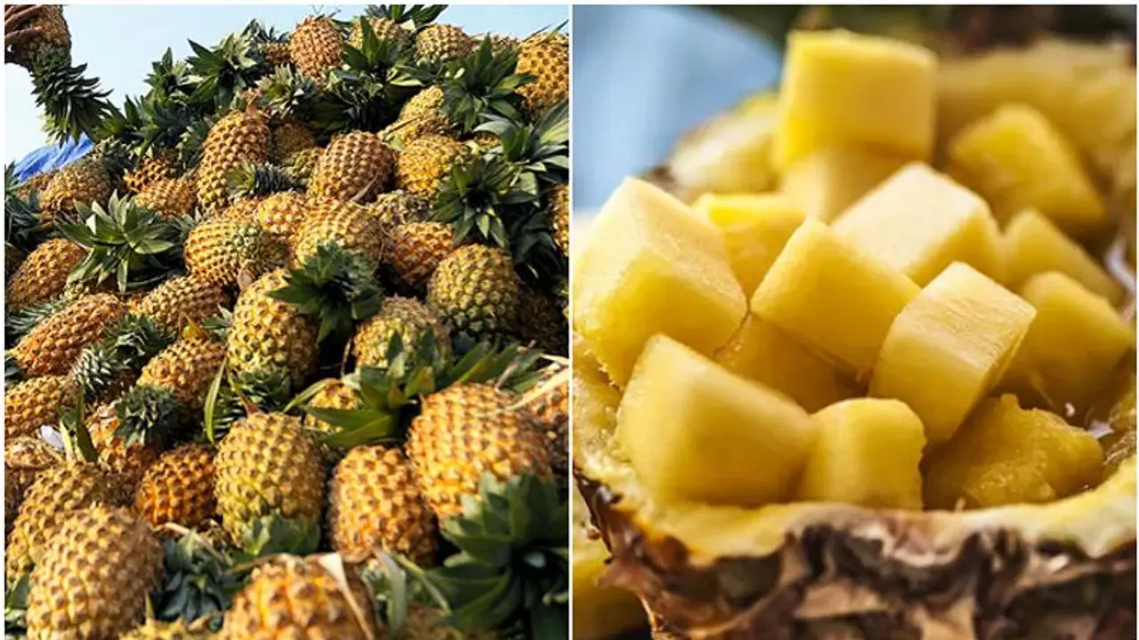 കൊടുംചൂടിൽ പൈനാപ്പിളിൽ തൊട്ടാലും പൊള്ളും! വില സർവകാല റെക്കോഡിൽ, കിലോ 15 രൂപയിൽ നിന്ന് കുതിച്ചത് 80 ലേക്ക് കൊടുംചൂടിൽ പൈനാപ്പിളിൽ തൊട്ടാലും പൊള്ളും! വില സർവകാല റെക്കോഡിൽ, കിലോ 15 രൂപയിൽ നിന്ന് കുതിച്ചത് 80 ലേക്ക്