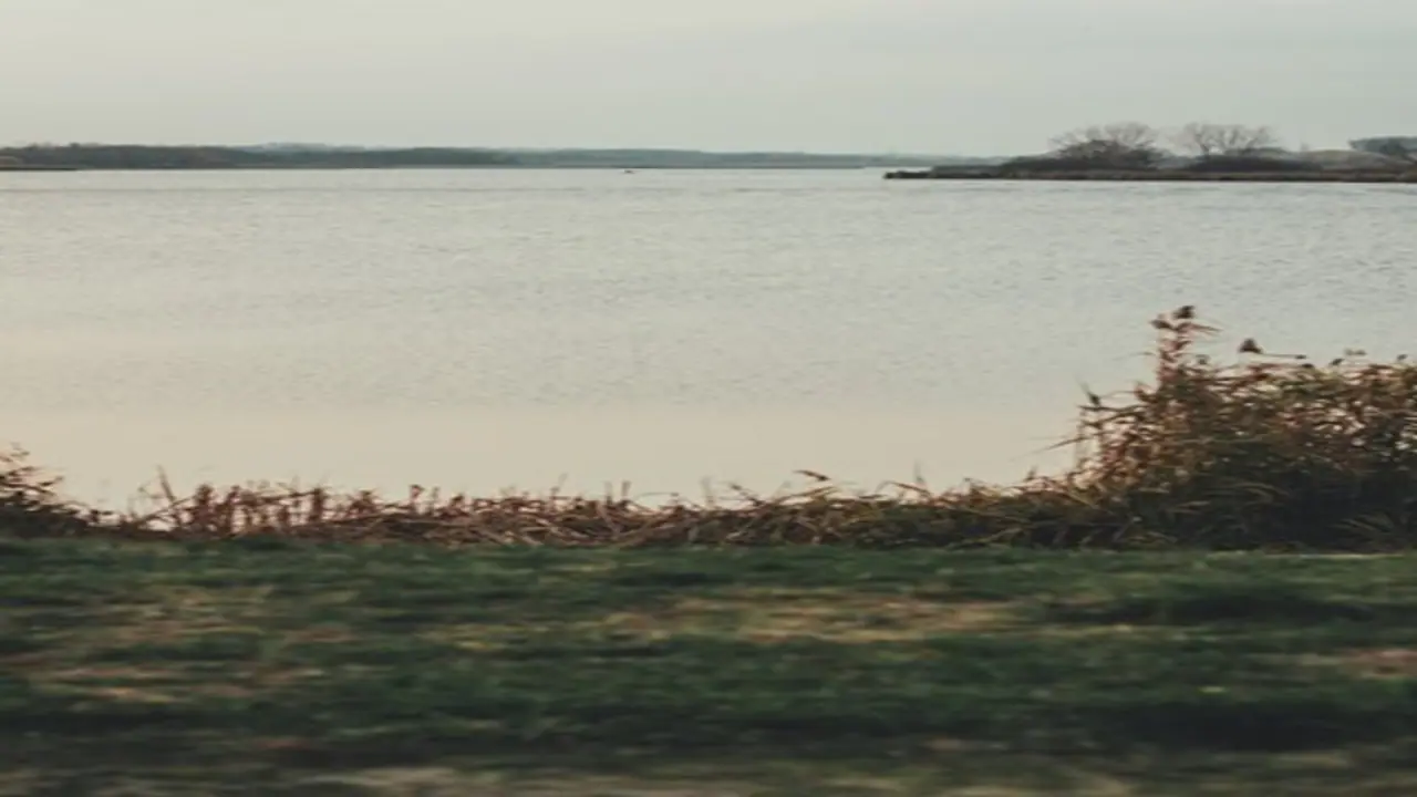 ಮೋಜಿಗಾಗಿ ವೈದ್ಯಕೀಯ ವಿದ್ಯಾರ್ಥಿಯನ್ನು ಕೆರೆ ತಳ್ಳಿದ ಗೆಳೆಯ, ನಿಷ್ಕ್ರೀಯಗೊಂಡಿತು ಮೆದಳು! ಮೋಜಿಗಾಗಿ ವೈದ್ಯಕೀಯ ವಿದ್ಯಾರ್ಥಿಯನ್ನು ಕೆರೆ ತಳ್ಳಿದ ಗೆಳೆಯ, ನಿಷ್ಕ್ರೀಯಗೊಂಡಿತು ಮೆದಳು!