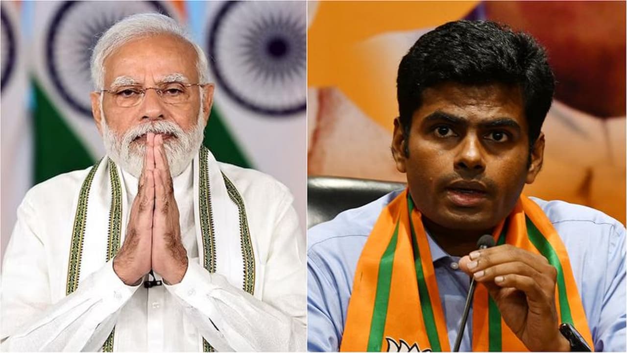 10 ವರ್ಷ ಬರೀ ಮೋದಿಯವರ ಟ್ರೈಲರ್ ನೋಡಿದ್ರಿ, ಮುಂದೆ ಸಿನಿಮಾ ಬಂದೆ ಬರುತ್ತೆ: ಅಣ್ಣಾಮಲೈ 10 ವರ್ಷ ಬರೀ ಮೋದಿಯವರ ಟ್ರೈಲರ್ ನೋಡಿದ್ರಿ, ಮುಂದೆ ಸಿನಿಮಾ ಬಂದೆ ಬರುತ್ತೆ: ಅಣ್ಣಾಮಲೈ