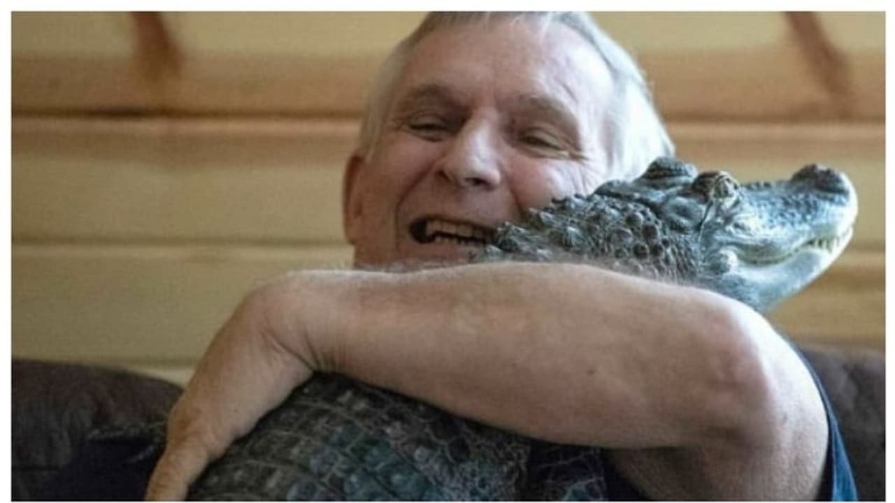 എന്‍റെ കുഞ്ഞെവിടെ? വിഷാദ രോഗകാലത്ത് 'വൈകാരിക പിന്തുണ' നൽകിയ ചീങ്കണ്ണിയെ അന്വേഷിച്ച് ഉടമ 