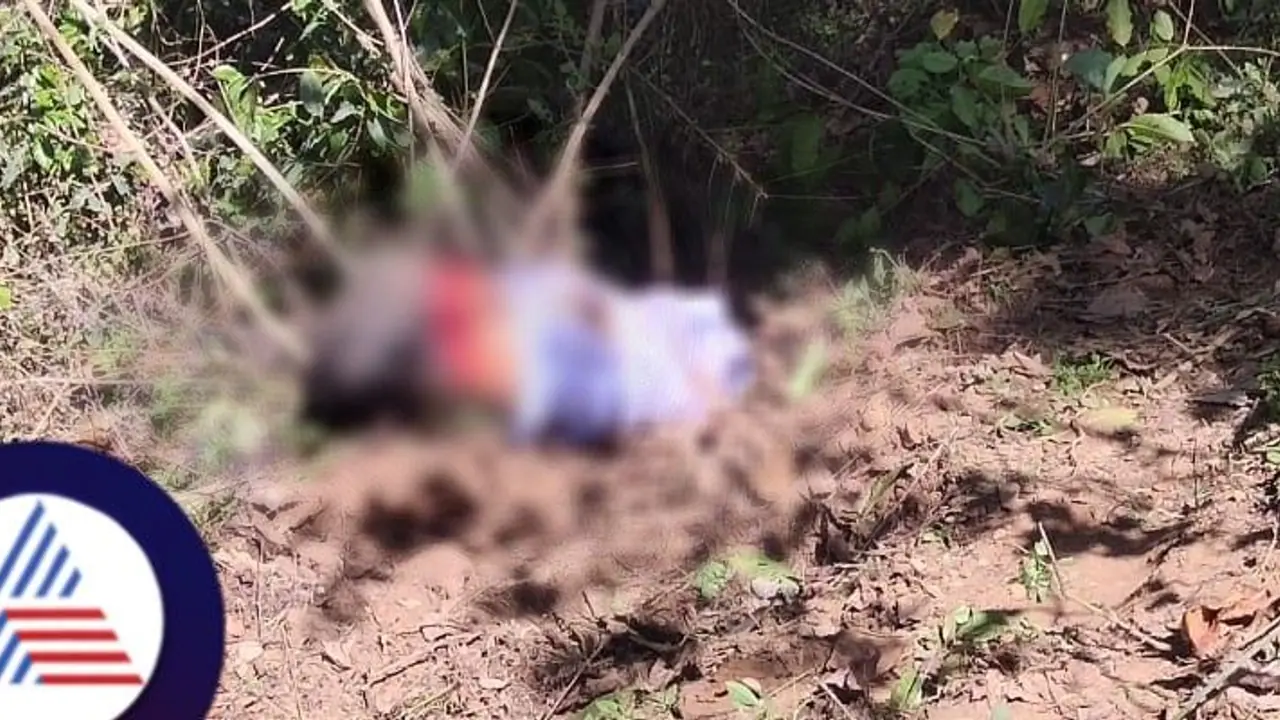 ಕಾಡಾನೆ ಮಾನವ ಸಂಘರ್ಷಕ್ಕೆ ಕೊನೆ ಇಲ್ಲ; ಕಾಫಿನಾಡಲ್ಲಿ ಮತ್ತೊಬ್ಬ ಬಲಿ!