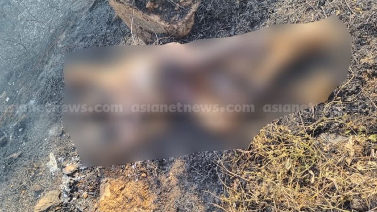 കുറ്റിപ്പുറത്ത് പുൽക്കാടിന് തീപിടിച്ചു, അണച്ച് കഴിഞ്ഞപ്പോൾ നടുക്കം: കത്തിക്കരിഞ്ഞ നിലയിൽ പുരുഷന്റെ മൃതദേഹം 