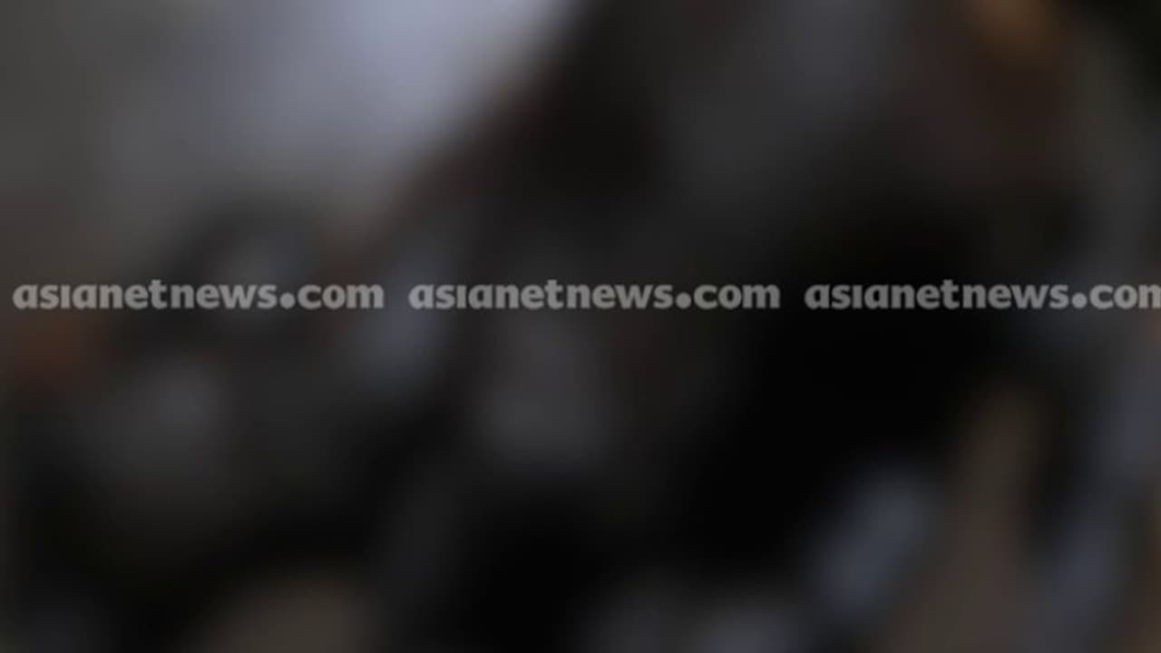 വീണ്ടും ജീവനെടുത്ത് അരളി; പോസ്റ്റ്‌മോര്‍ട്ടത്തിൽ സ്ഥിരീകരണം, പത്തനംതിട്ടയിൽ അരളി തിന്ന് പശുവും കിടാവും ചത്തു 