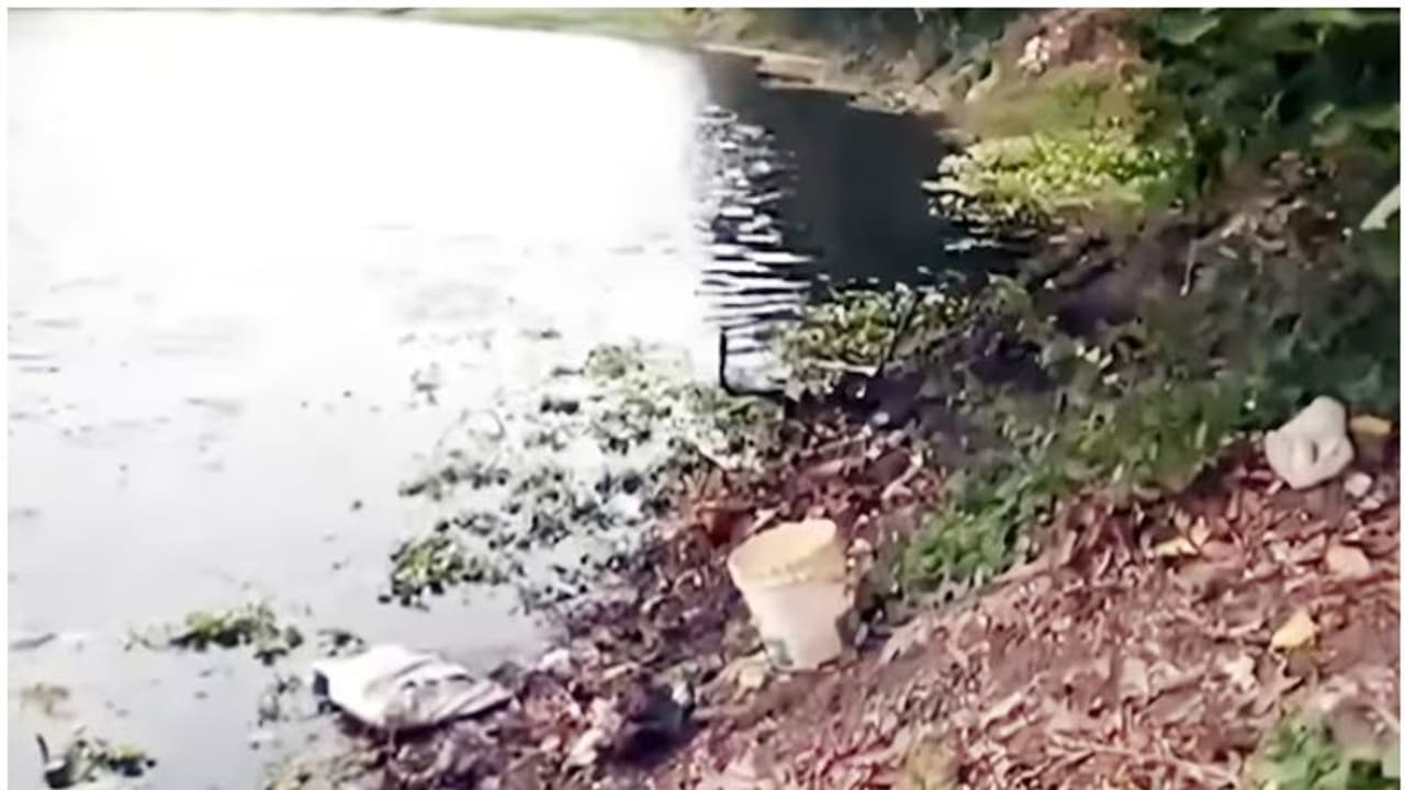 കളിക്കുന്നതിനിടെ കുഴിയിലേക്ക് നോക്കി; സ്ഫോടക വസ്തു പൊട്ടിത്തെറിച്ച് ബംഗാളിൽ കുട്ടി മരിച്ചു, 2 പേർക്ക് പരിക്ക് കളിക്കുന്നതിനിടെ കുഴിയിലേക്ക് നോക്കി; സ്ഫോടക വസ്തു പൊട്ടിത്തെറിച്ച് ബംഗാളിൽ കുട്ടി മരിച്ചു, 2 പേർക്ക് പരിക്ക്