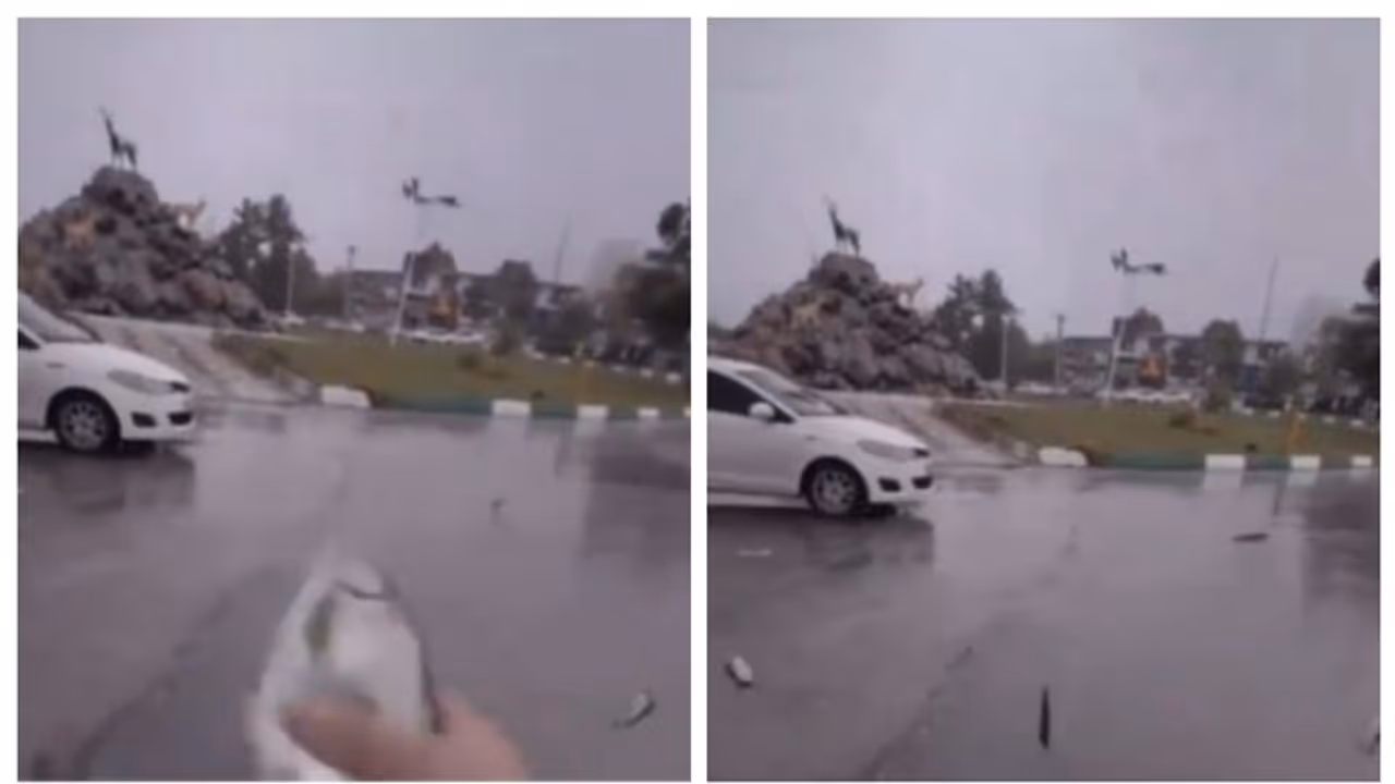 ഇറാനില് മീന്മഴ; സാമൂഹിക മാധ്യമങ്ങളില് വൈറലായി വീഡിയോ ഇറാനില് മീന്മഴ; സാമൂഹിക മാധ്യമങ്ങളില് വൈറലായി വീഡിയോ