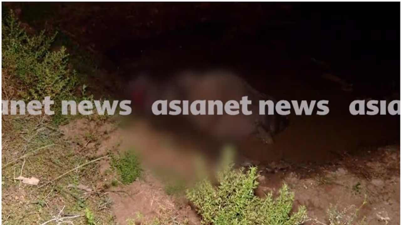 പാലക്കാട് ട്രെയിൻ തട്ടി കാട്ടാന ചരിഞ്ഞു; ലോക്കോ പൈലറ്റിനെതിരെ വനം വകുപ്പ് കേസെടുത്തു