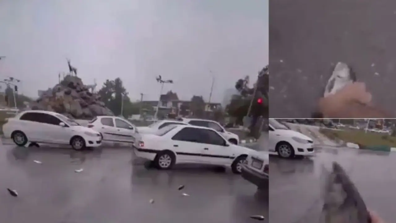 ಇರಾನ್ನಲ್ಲಿ ಮೀನಿನ ಮಳೆ, ಎದ್ದೂ ಬಿದ್ದು ಬುಟ್ಟಿಯಲ್ಲಿ ತುಂಬಿಕೊಂಡ ಜನ; ವೀಡಿಯೋ ವೈರಲ್ ಇರಾನ್ನಲ್ಲಿ ಮೀನಿನ ಮಳೆ, ಎದ್ದೂ ಬಿದ್ದು ಬುಟ್ಟಿಯಲ್ಲಿ ತುಂಬಿಕೊಂಡ ಜನ; ವೀಡಿಯೋ ವೈರಲ್