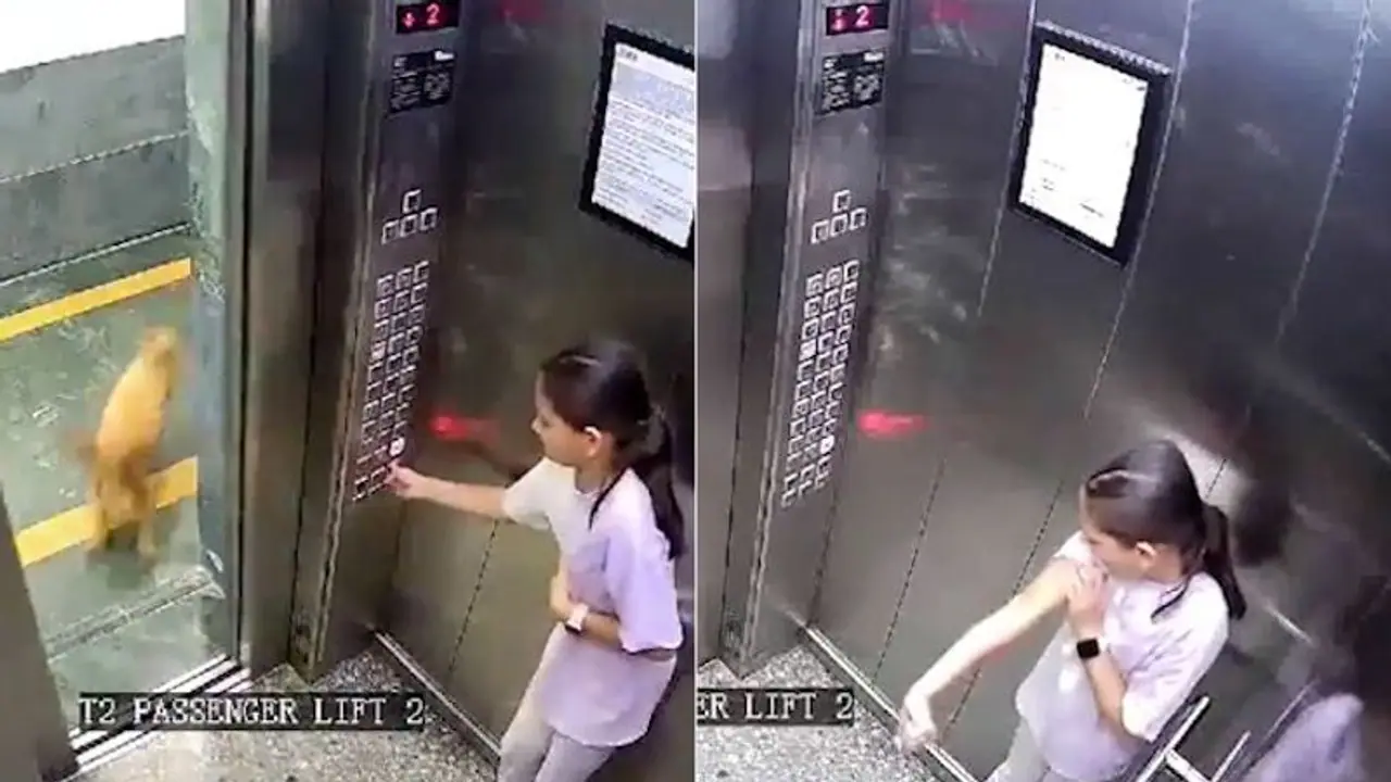 Viral video: CCTV captures dog attacking, biting girl in Noida housing society lift (WATCH) Viral video: CCTV captures dog attacking, biting girl in Noida housing society lift (WATCH)