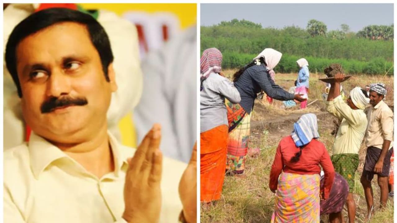 பல்லிளிக்கும் ஏற்றத்தாழ்வு: சமச்சீரான வளர்ச்சியை ஏற்படுத்துவதில் திமுக, அதிமுக படுதோல்வி அன்புமணி காட்டம்