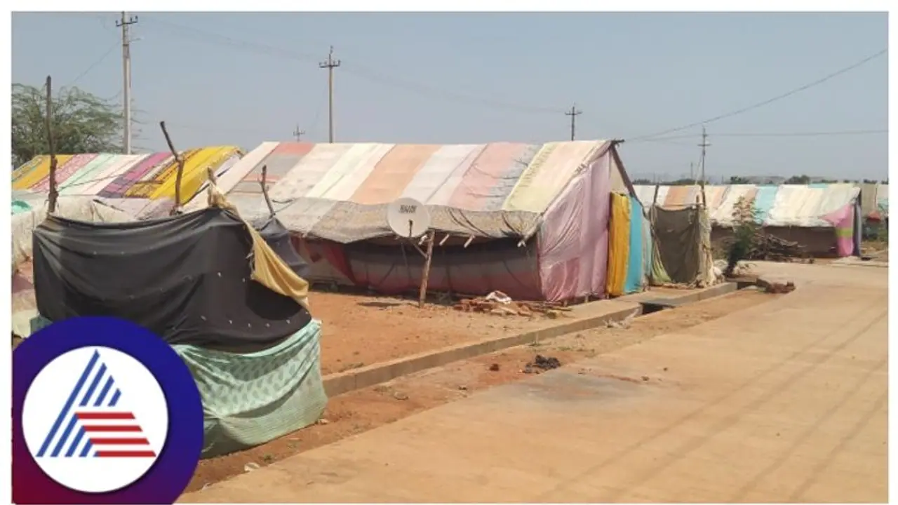 ಸುಡುಗಾಡು ಸಿದ್ದರಿಗೆ ಹೊಸ ಬಡಾವಣೆ ಸಿಗೋದು ಯಾವಾಗ? ಜೋಪಡಿಯಲ್ಲಿದೆ 50ಕ್ಕೂ ಹೆಚ್ಚಿನ ಕುಟುಂಬ!