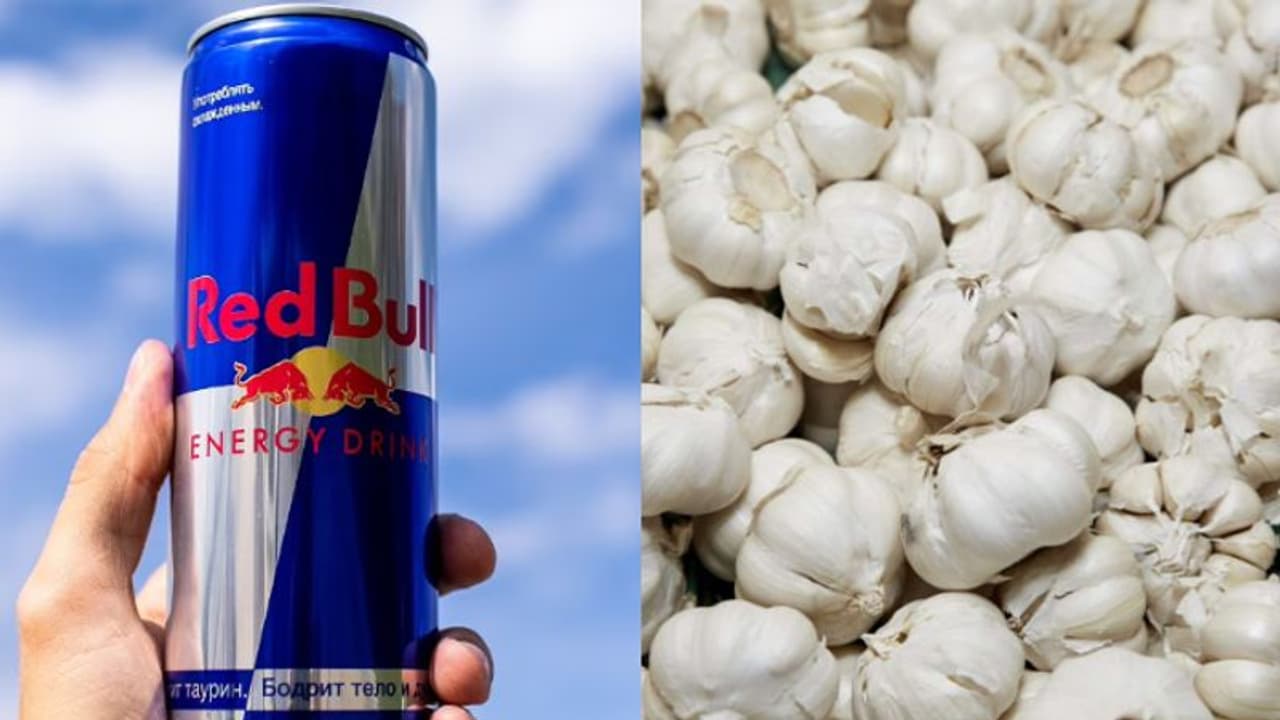 റെഡ് ബുൾ മുതല് ചൈനീസ് വെളുത്തുള്ളി വരെ; ഇന്ത്യയില് നിരോധിച്ച ആറ് ഭക്ഷണങ്ങള് റെഡ് ബുൾ മുതല് ചൈനീസ് വെളുത്തുള്ളി വരെ; ഇന്ത്യയില് നിരോധിച്ച ആറ് ഭക്ഷണങ്ങള്