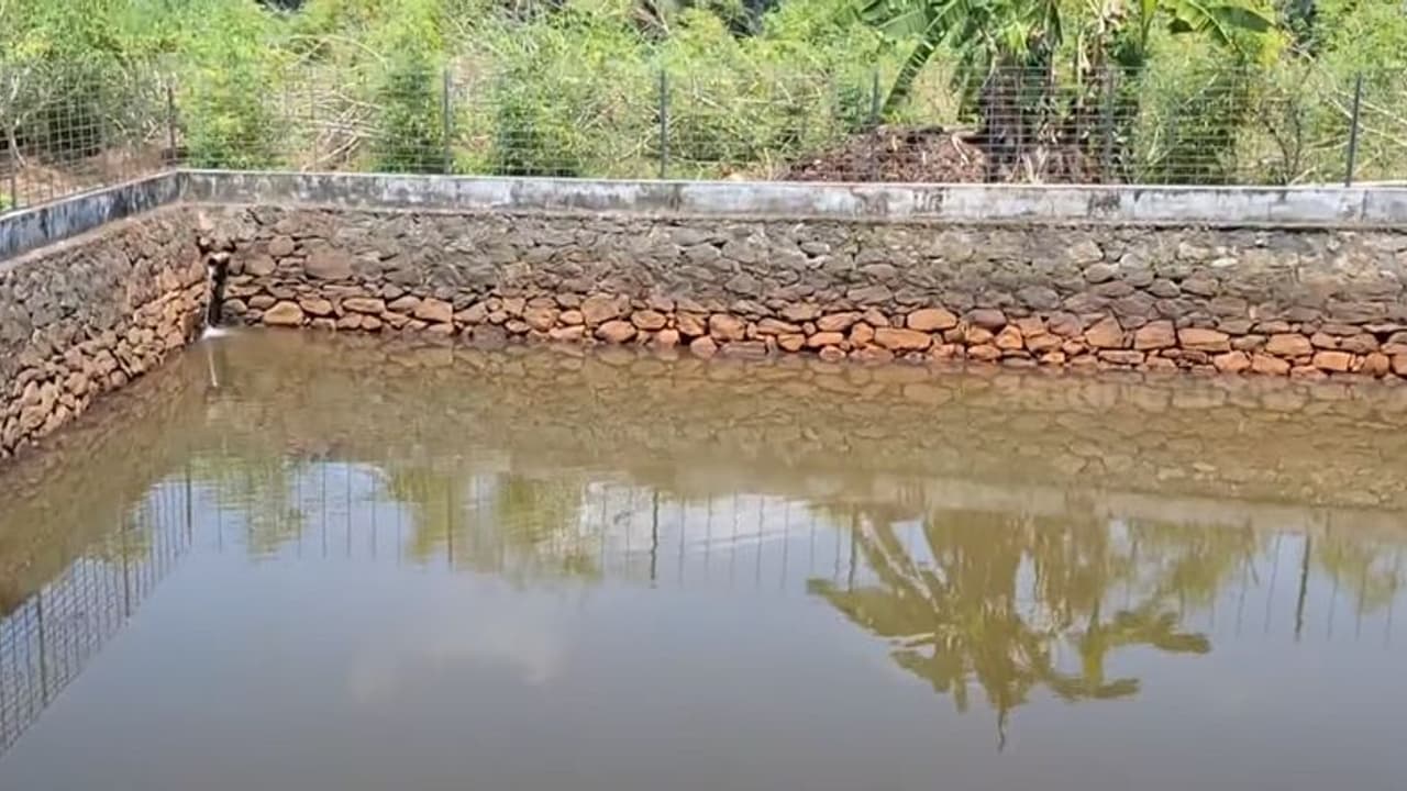 രണ്ടാഴ്ചയ്ക്കിടെ 127 പേർക്ക് രോഗം ബാധിച്ചു; വേങ്ങൂർ പഞ്ചായത്തിൽ മഞ്ഞപ്പിത്തം വ്യാപിക്കുന്നു