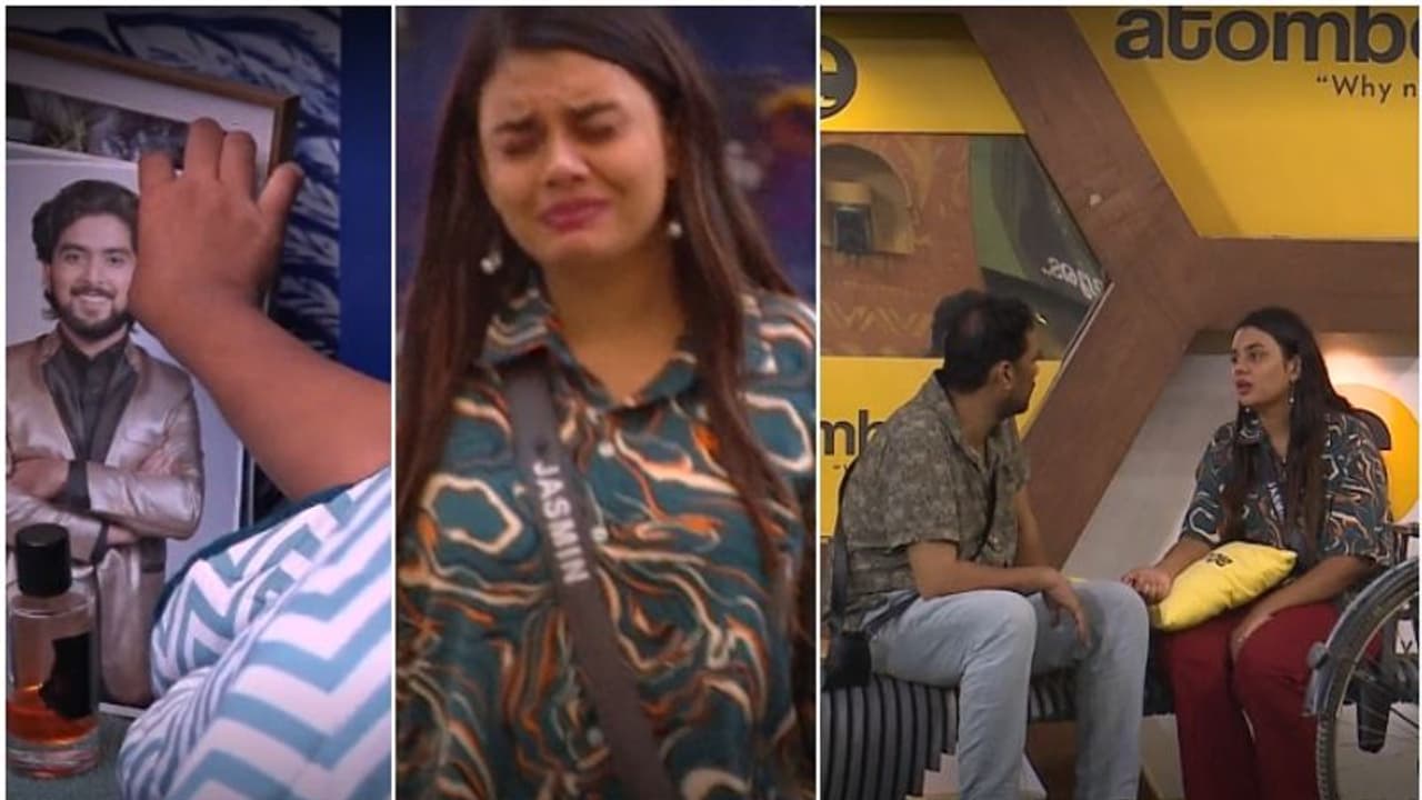 'ഗബ്രി ഇഫക്ട്' അവസാനിപ്പിച്ച് ജാസ്മിന്‍ ഒറ്റയ്ക്ക് കളിക്കണം: സാബുമോന്‍റെ ട്രീറ്റ്മെന്‍റ് വിജയിക്കുമോ?