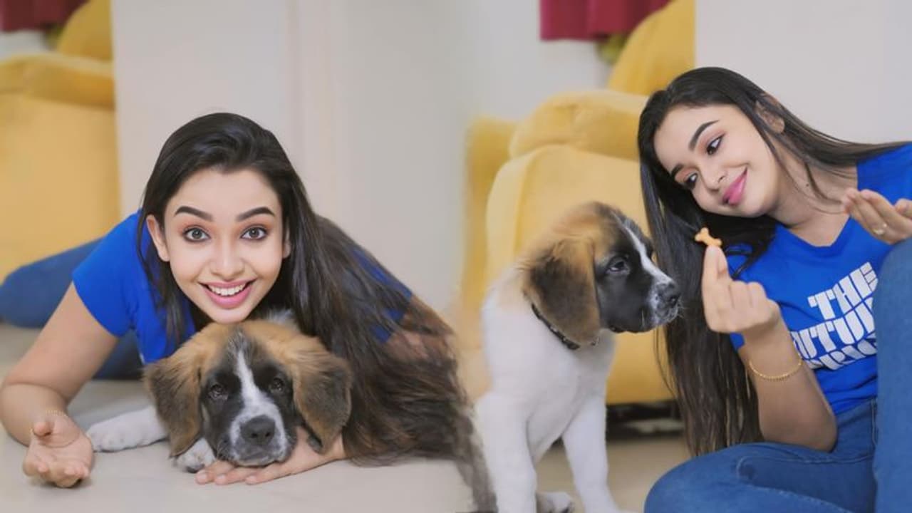 നമ്മളെക്കാളേറെ നമ്മെ സ്നേഹിക്കുന്ന ജീവികളാണ് നായകളെന്ന് ആലീസ് ക്രിസ്റ്റി നമ്മളെക്കാളേറെ നമ്മെ സ്നേഹിക്കുന്ന ജീവികളാണ് നായകളെന്ന് ആലീസ് ക്രിസ്റ്റി