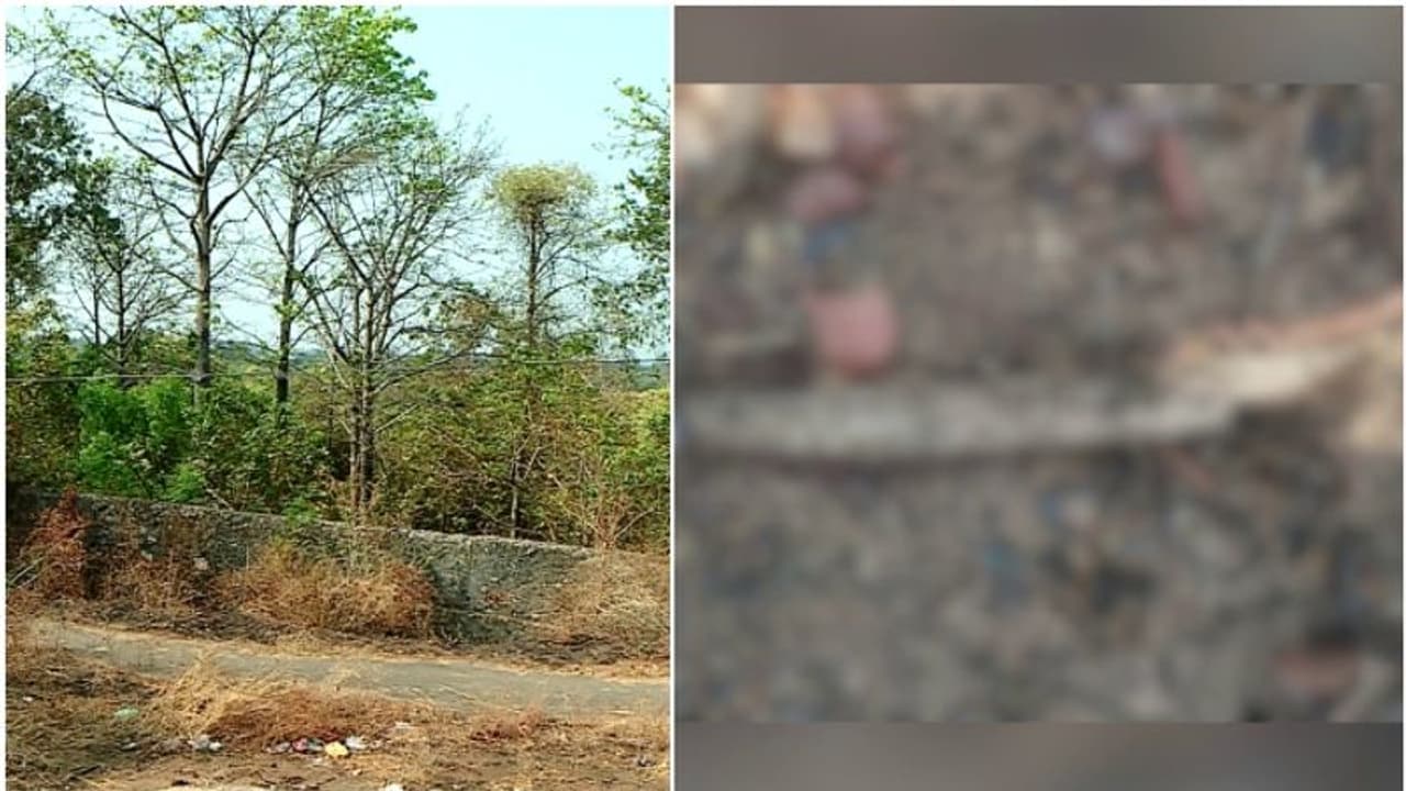 കഞ്ചിക്കോട് കോച്ച് ഫാക്ടറിക്ക് വേണ്ടി ഏറ്റെടുത്ത ഭൂമിയിൽ അസ്ഥികൂടം കണ്ടെത്തി 