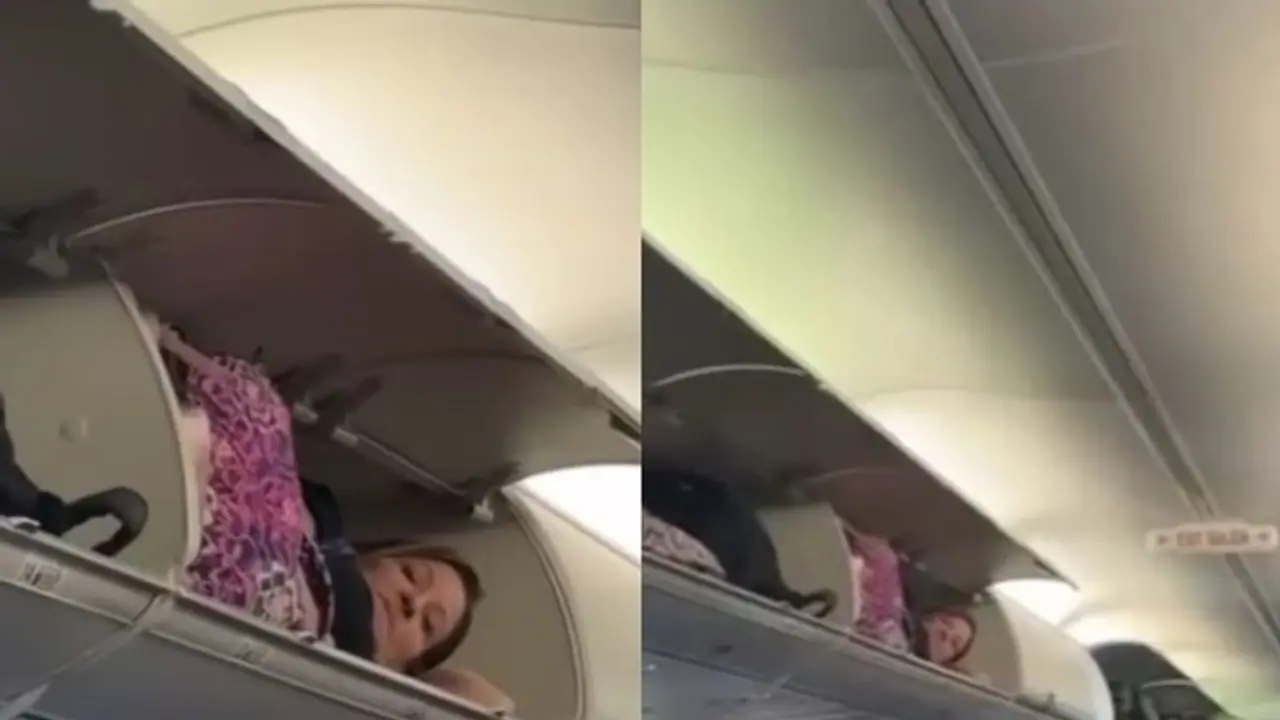 Viral video: American woman climbs into luggage compartment of plane to take a nap [watch]