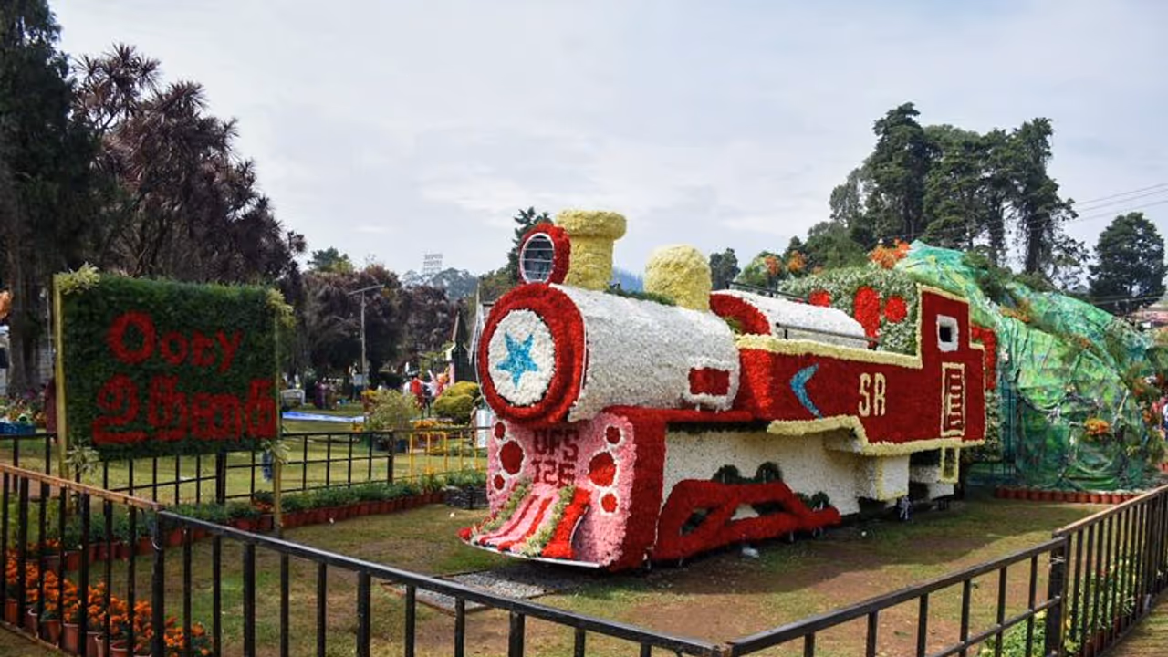 டிஸ்னி உலகம், மலை ரயில் என காண்போர் கண்களை கொள்ளை கொள்ளும் உதகை மலர் கண்காட்சி டிஸ்னி உலகம், மலை ரயில் என காண்போர் கண்களை கொள்ளை கொள்ளும் உதகை மலர் கண்காட்சி