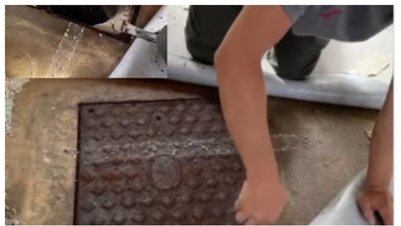 കിടപ്പുമുറിയില്‍ അസഹ്യമായ നാറ്റം; ഒടുവില്‍ മുറിയിലെ കാര്‍പെറ്റ് നീക്കിയപ്പോള്‍ കണ്ട കാഴ്ച !