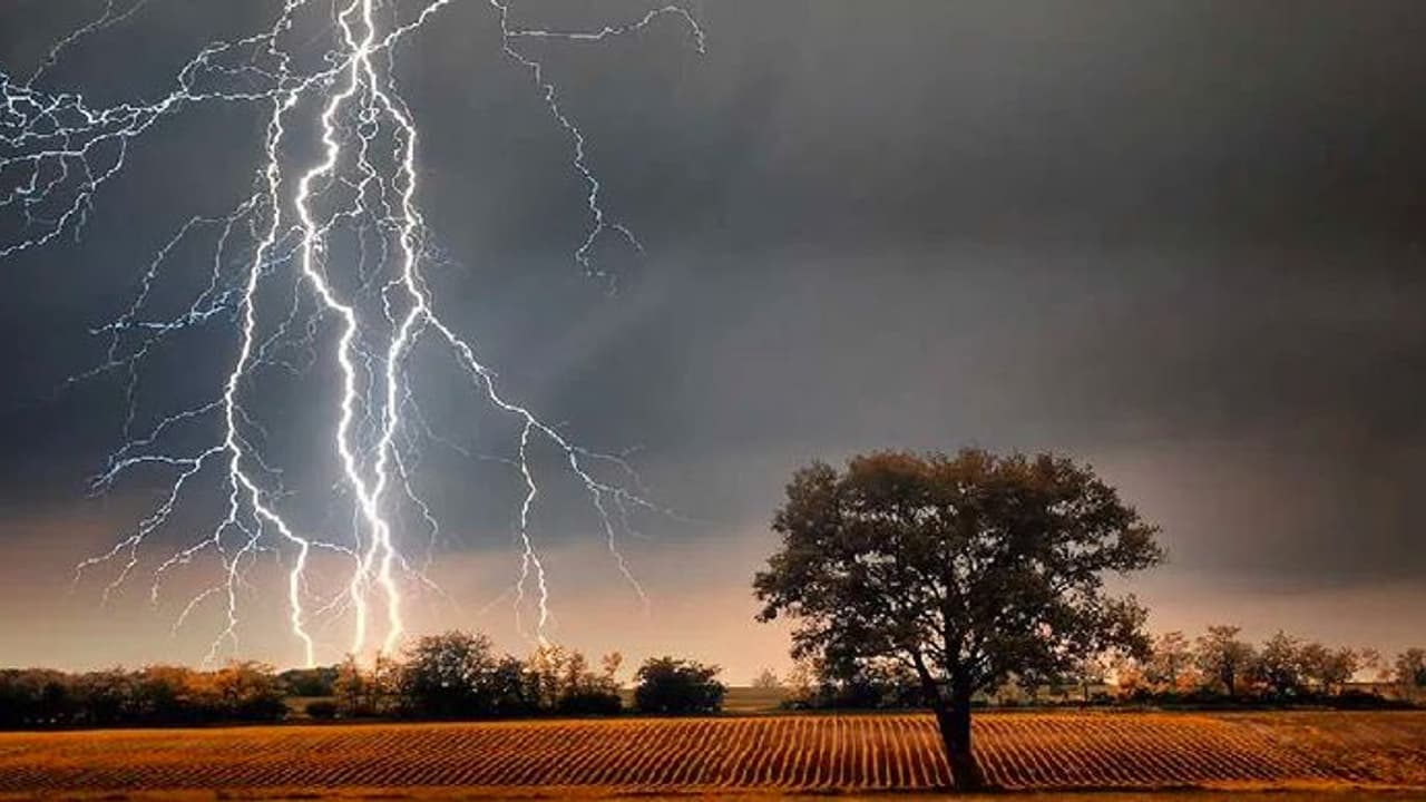 ಕಲಬುರಗಿ: ಸಿಡಿಲು ಬಡಿದು ರೈತ ಮಹಿಳೆ ಹಾಗೂ ಶ್ವಾನ ದುರ್ಮರಣ! ಕಲಬುರಗಿ: ಸಿಡಿಲು ಬಡಿದು ರೈತ ಮಹಿಳೆ ಹಾಗೂ ಶ್ವಾನ ದುರ್ಮರಣ!
