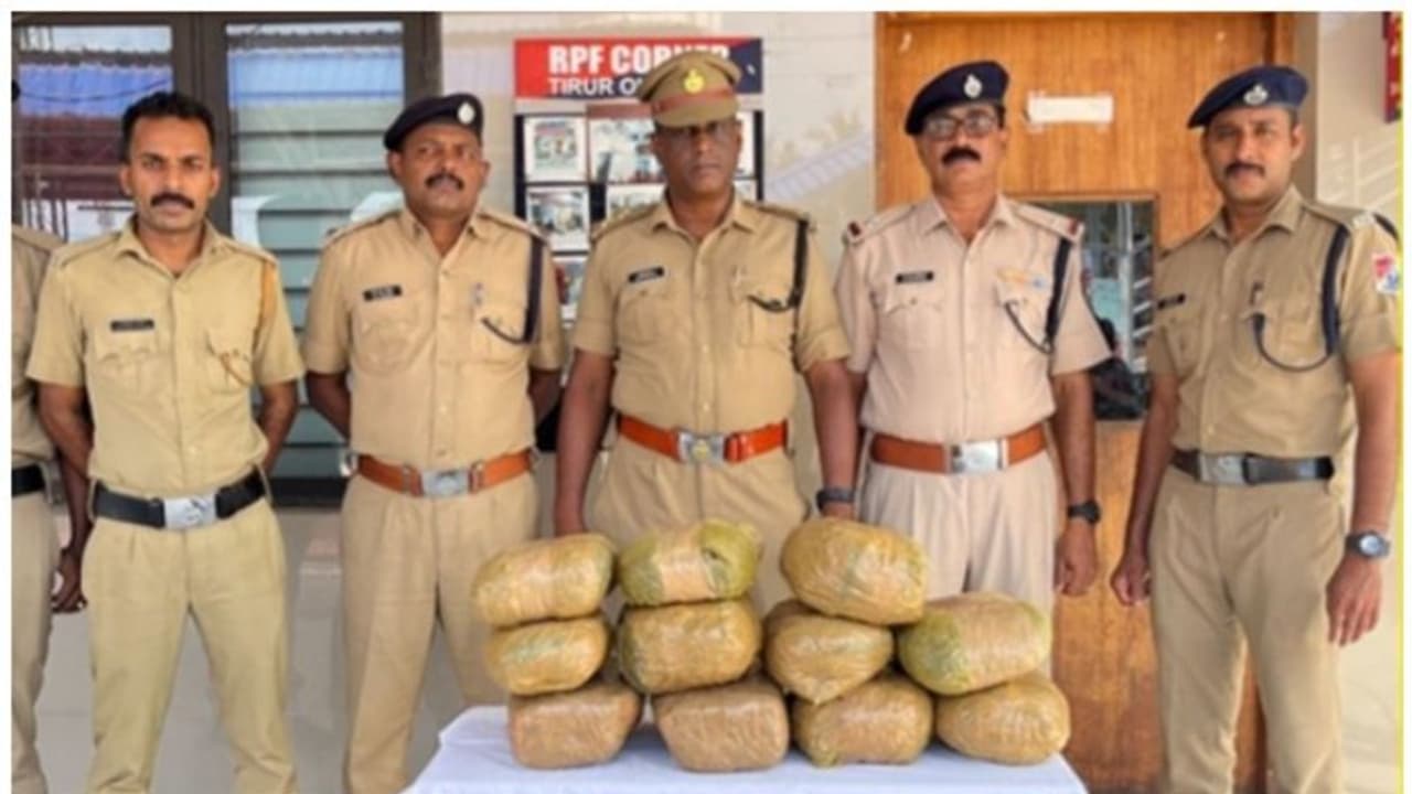 റെയിൽവേ സ്റ്റേഷൻ പ്ലാറ്റ്ഫോമിൽ നിന്ന് വീണ്ടും കഞ്ചാവ് കണ്ടെടുത്തു; ഇക്കുറിയും ആളെ കിട്ടിയില്ല റെയിൽവേ സ്റ്റേഷൻ പ്ലാറ്റ്ഫോമിൽ നിന്ന് വീണ്ടും കഞ്ചാവ് കണ്ടെടുത്തു; ഇക്കുറിയും ആളെ കിട്ടിയില്ല