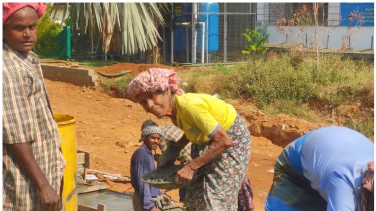 പ്രായമൊക്കെ വെറും നമ്പറല്ലേ മക്കളേ എന്ന് കത്രീനാമ്മ! നാട്ടുകാർക്ക് അത്ഭുതം, ഈ 95കാരിക്ക് ഇതാണ് ജീവിതം