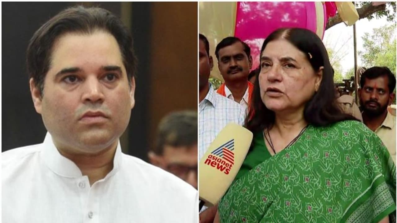 'നല്ല മനുഷ്യനും നല്ല രാഷ്ട്രീയക്കാരനും, വരുൺ ഗാന്ധിക്ക് ബിജെപി സീറ്റ് നൽകേണ്ടതായിരുന്നു': മേനക ഗാന്ധി 'നല്ല മനുഷ്യനും നല്ല രാഷ്ട്രീയക്കാരനും, വരുൺ ഗാന്ധിക്ക് ബിജെപി സീറ്റ് നൽകേണ്ടതായിരുന്നു': മേനക ഗാന്ധി