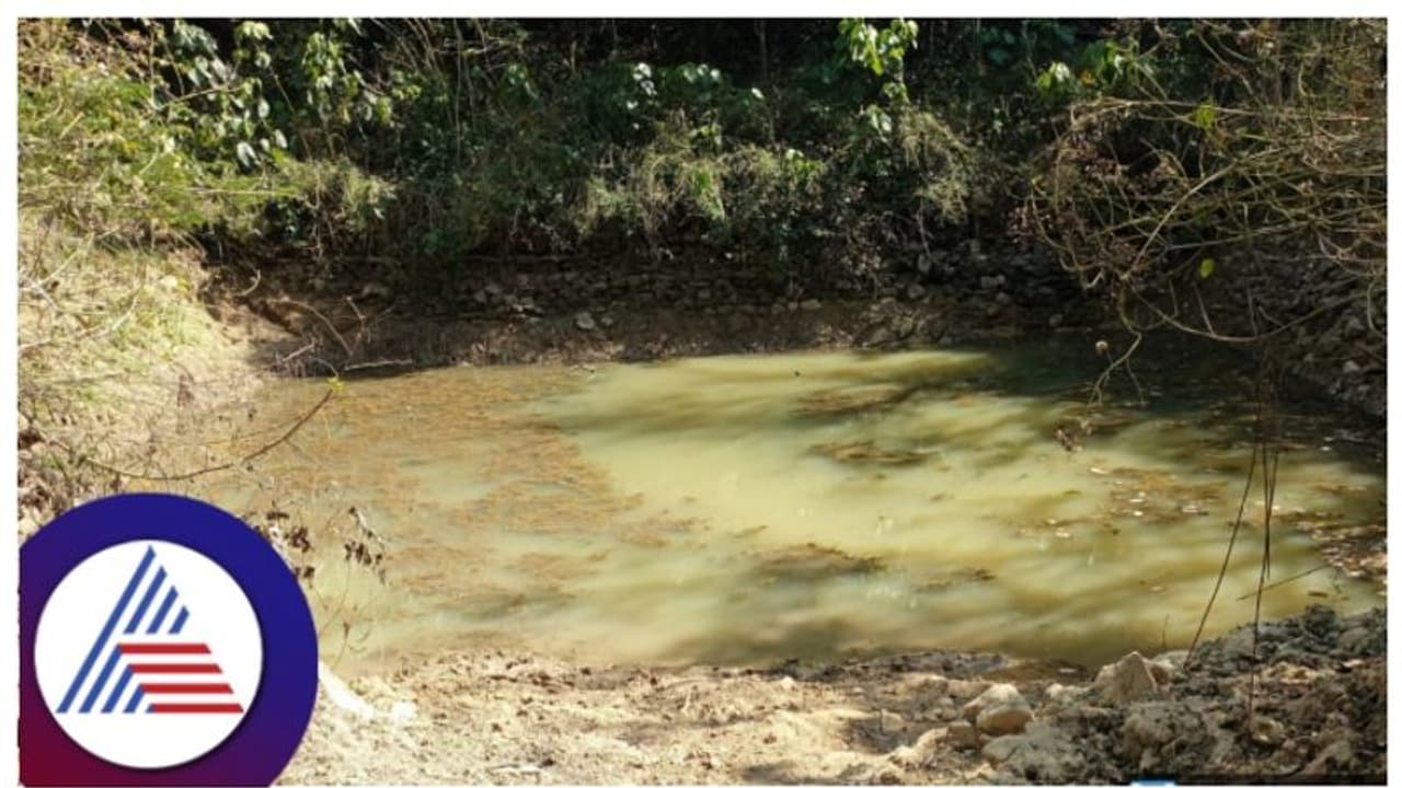 ಸರ್ಕಾರೇತರ ಪರಿಸರ ಸಂಘಟನೆಯಿಂದ ವನ್ಯಜೀವಿಗಳ ದಾಹ ತಣಿಸಲು ಕಾಡಿನಲ್ಲಿ ಕಾಯಂ ನೀರಿನ ತೊಟ್ಟಿ! ಸರ್ಕಾರೇತರ ಪರಿಸರ ಸಂಘಟನೆಯಿಂದ ವನ್ಯಜೀವಿಗಳ ದಾಹ ತಣಿಸಲು ಕಾಡಿನಲ್ಲಿ ಕಾಯಂ ನೀರಿನ ತೊಟ್ಟಿ!