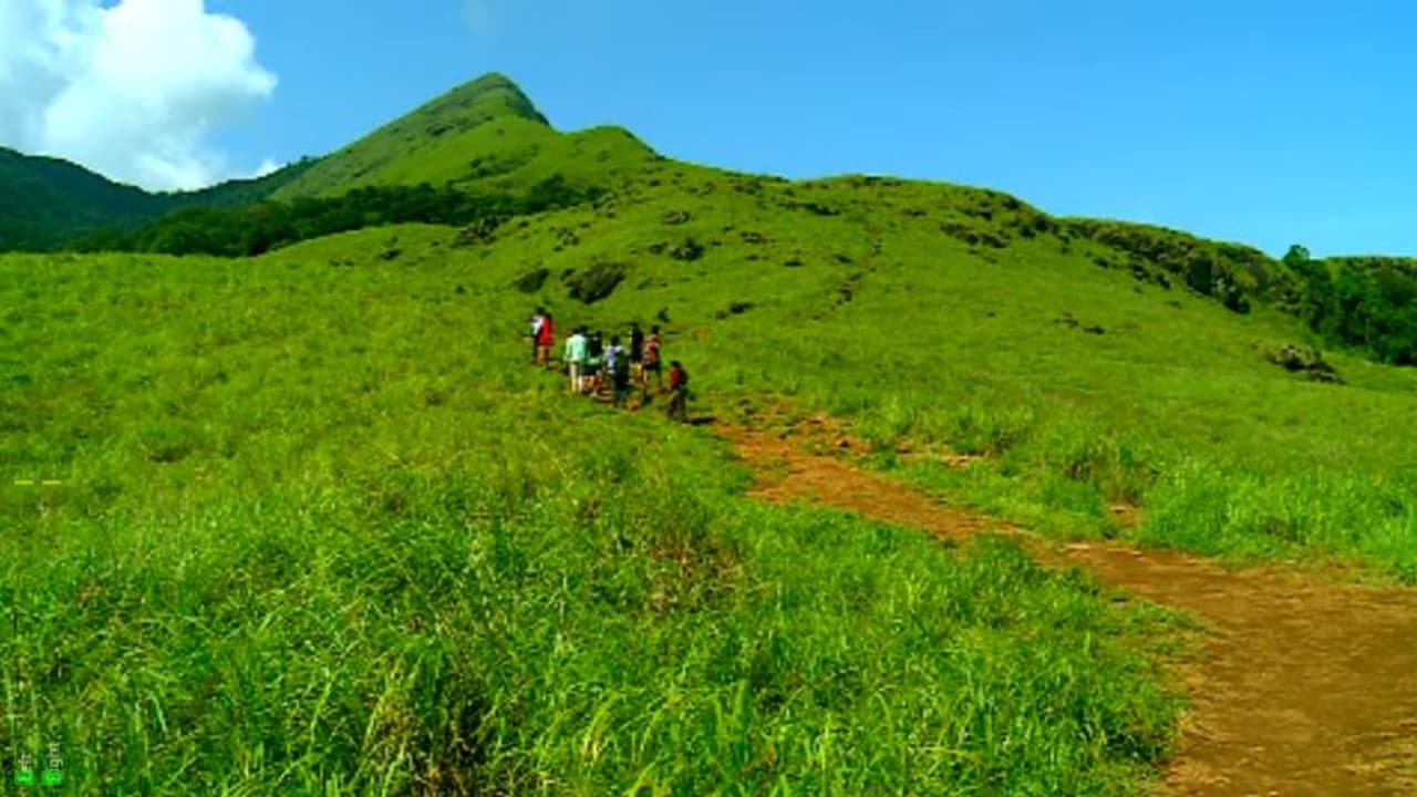 ചെമ്പ്ര പീക്കിലെ സാമ്പത്തിക തിരിമറിക്ക് പിന്നിൽ ഗൂഢാലോചനയുണ്ടെന്ന് അന്വേഷണ സംഘം; ഉദ്യോഗസ്ഥർക്കെതിരെ നടപടി വേണം