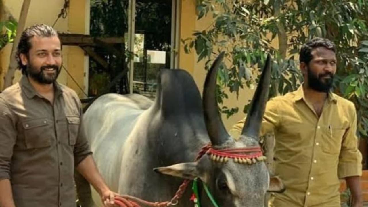 'അതില്‍ സംശയം വേണ്ട', വാടിവാസലിനെ കുറിച്ച് വെട്രിമാരൻ